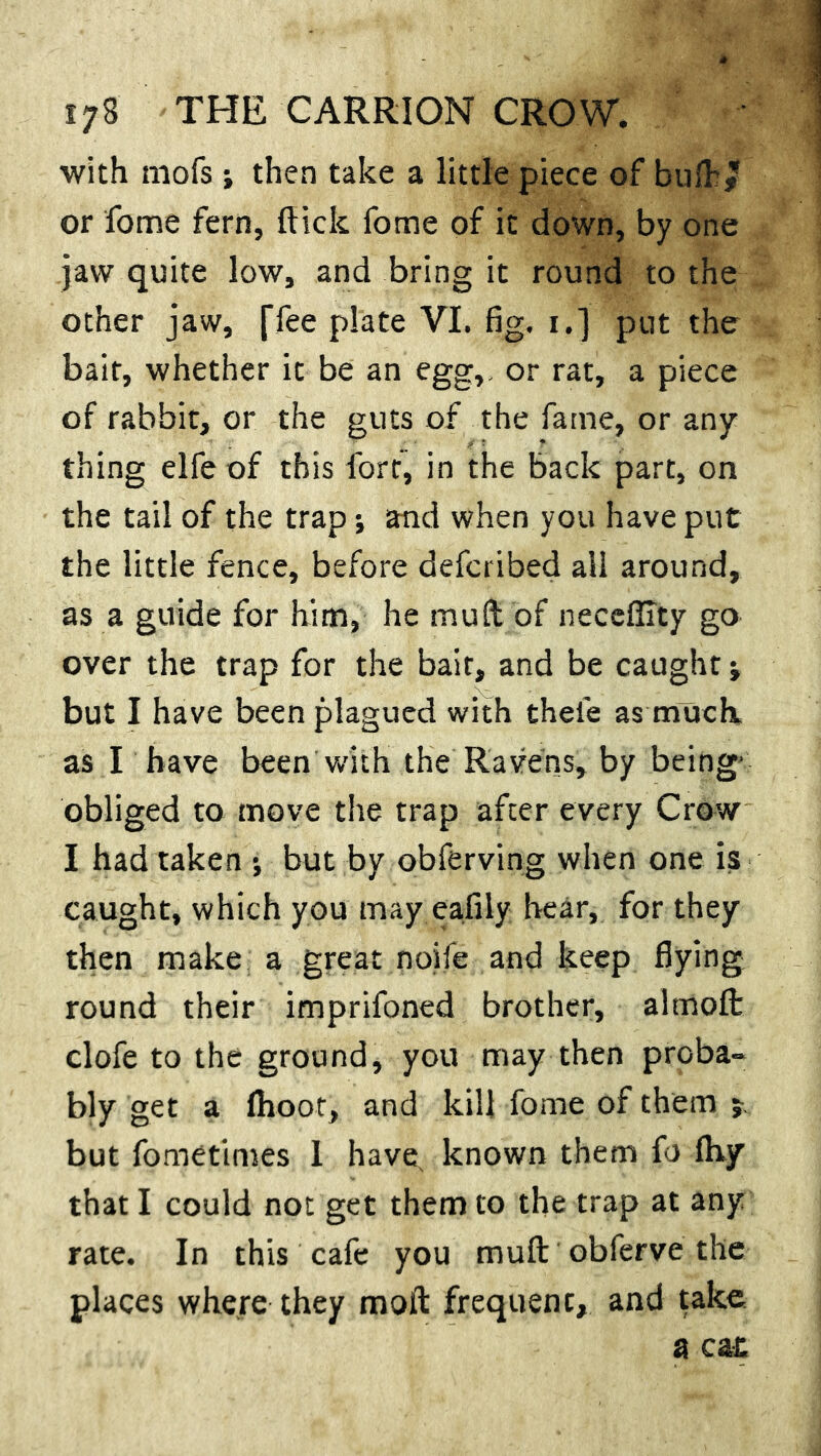 i;3 THE CARRION CROW. with mofs; then take a little piece of bulky or fome fern, flick fome of it down, by one jaw quite low, and bring it round to the other jaw, [Tee plate VI. fig. i.] put the bait, whether it be an egg,, or rat, a piece of rabbit, or the guts of the fame, or any thing elfe of this fort, in the back part, on the tail of the trap; and when you have put the little fence, before defcribed ali around, as a guide for him, he mu ft’of necefllty go over the trap for the bait, and be caught * but I have been plagued with thele as much, as I have been with the Ravens, by being- obliged to move the trap after every Crow I had taken ; but by obferving when one is caught, which you may eafily hear, for they then make a great noife and keep flying round their imprifoned brother, almofl: clofe to the ground, you may then proba- bly get a fhoot, and kill fome of them j but fometim.es I have known them fo fhy that I could not get them to the trap at any rate. In this cafe you muft obferve the places where they raoft frequent, and take a cat.