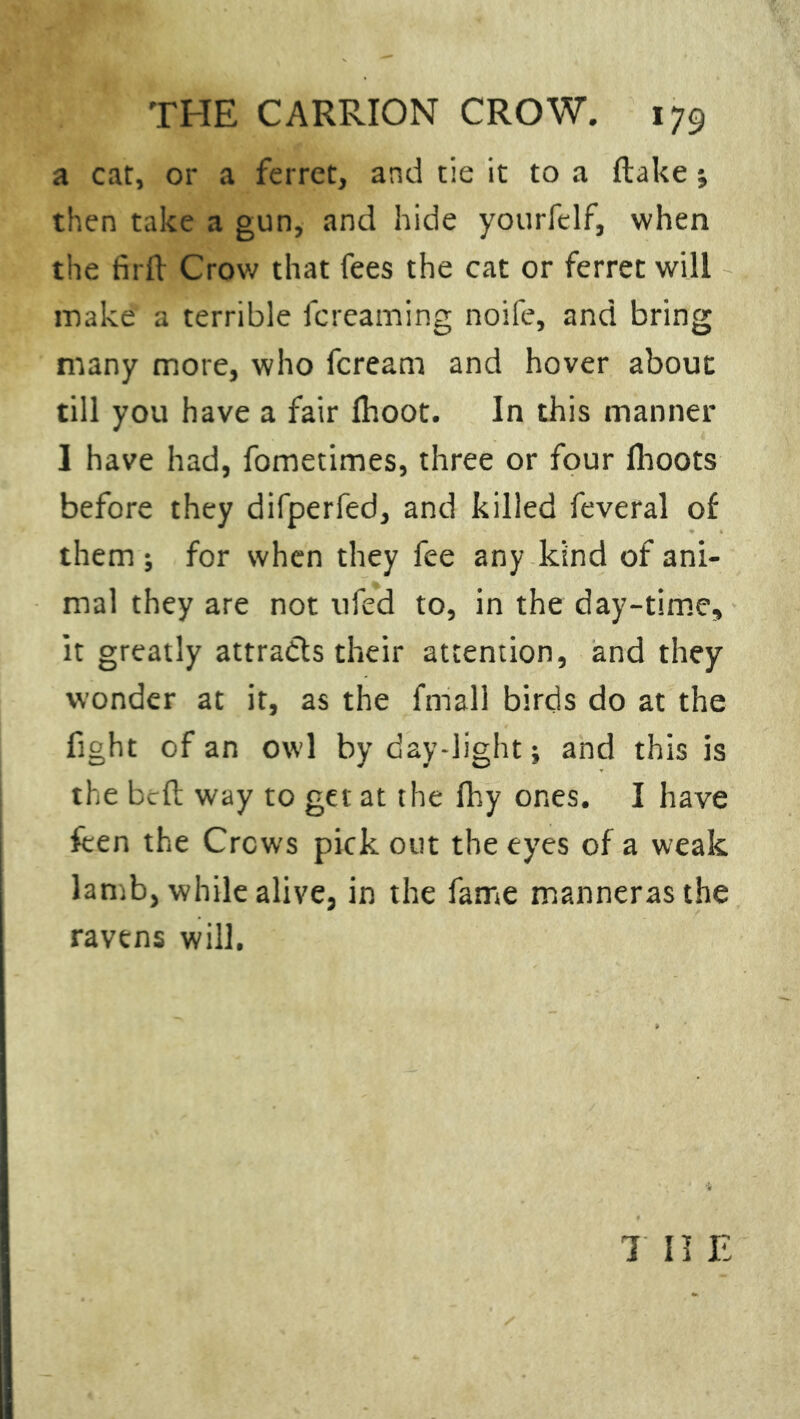 THE CARRION CROW. 179 a cat, or a ferret, and tie it to a ftake *, then take a gun, and hide yotirftlf, when the firft Crow that fees the cat or ferret will make a terrible {creaming noife, and bring many more, who fcream and hover about till you have a fair Ihoot. In this manner I have had, fometimes, three or four flioots before they difperfed, and killed feveral of them ; for when they fee any kind of ani- mal they are not ufed to, in the day-time, it greatly attracts their attention, and they wonder at it, as the fmall birds do at the fight of an owl by day-light; and this is the bed way to get at the fhy ones. I have fcen the Crews pick out the eyes of a weak lamb, while alive, in the fame mannerasthe ravens will. 1 II E