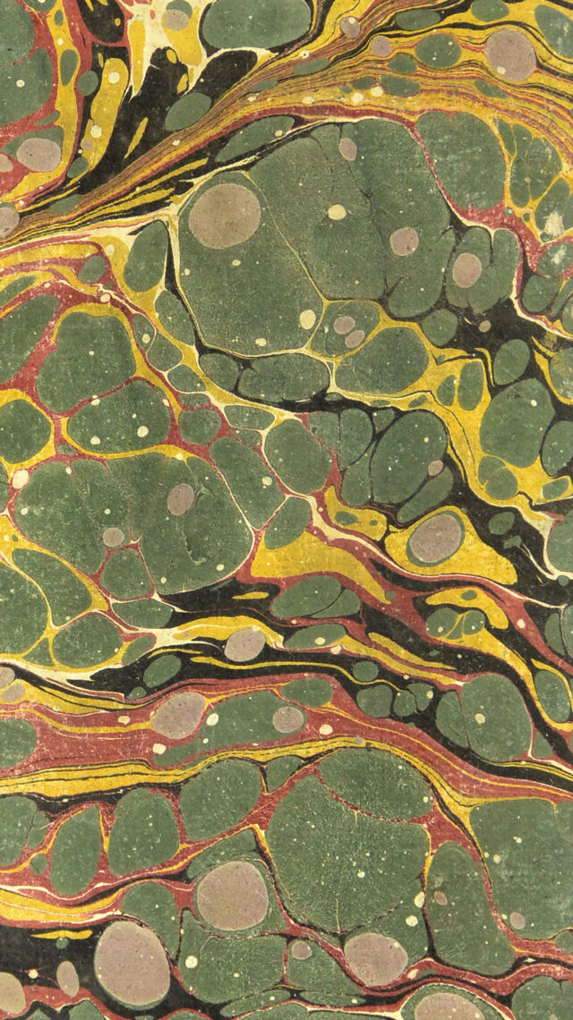 No text description is available for this image