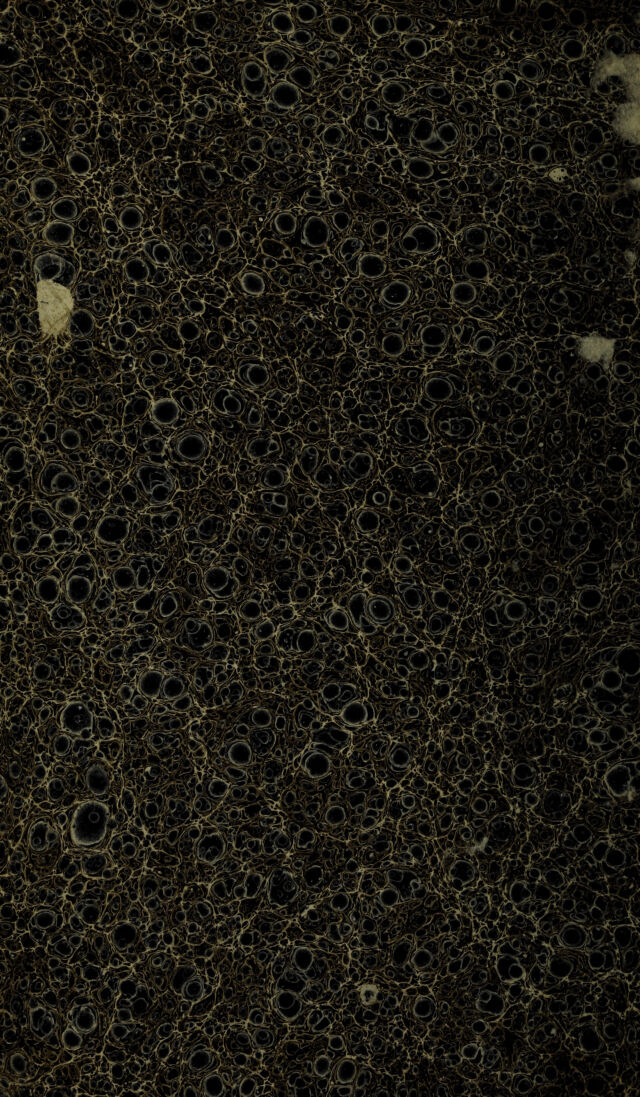 digitised image 2