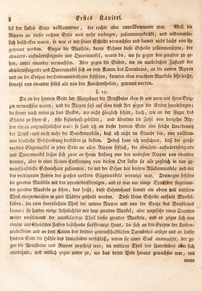 3 QrrfieS Kapitel. fei ter linfctt «Seile »oflfommener / ter rechte abet* tuwoHfomnteitet war. SÖeil feie «Kippen au tiefer regten Seite weit mehr »erbogen, jufammengetr&ft, unt wibernaiitr# lieh befchaffen waren, fo war er mit feiner Scheibe »erwachfeit unt formte nicht leicht »on ihr getrennt werten. Sogar tie SKutfeltt/ teren Seinen tiefe Sd)cite ^ufammenfegen/ ter abwärft # aufwärttpeigenbe unt «Queermuofel, waren ta, wo fie gegen ten geraten &u ge# hen/ unter einanter »erwad)feit. IHber gegen tie Seifert/ wo im natürlichen 3uftanb ter abwärttpeigeube unt £>ueermutfel ftd) an tem Stamm bet Sarmbeint / an tie untern Rippen unt an tie Spigett ter2eritenwirbelbeine fejlfe|eti/ formten eben erwähnte «Otutfeln fehr leicht/ fowoljl »on einanter felbji alt »on ten Stuo^eiitheiiert/ getrennt werten. §. 23. £a an ter hintern Seife ter tüirtgeburf tie ISrupbeine eben fo wie »orn mit ihren Spij# jen oerwadhfen waren/ unt tie Stippen faft auf eben tiefe %vt gegen tie Seiten herabjfiegen; ta ferner nach unten ju tat SSecfen, wo nid)t gästjlid) fehlte / toch / wie an ter gigur bet Sfelett pt fehen ift, fehr fehlerhaft gebiltef, unt überbiet tie gahl oort trdjehn £Kip# per? efwat wtgewoh»ltd)et war : fo fant ich ön tiefer hintern Seite eine folcfjc Unortnung ter i£rnjf#unt noch mehr ter 33attchmutfelit/ bap ich nicht im Stante biti/ eine »oüfom# men tcutliche SScfcbrcibttng terfelben ju liefern. Snbep fann ich »erpeheut/ bap ter grope »örtere Sägemutfel in jeter Seite an allen IKippcn feffap / ter abwärtt # aufwärttpeigaibe unt £Uteermutfel liefen fiel) jwar an ihrem Anfang 001t ten unterfien Rippen »on einanter trennen, aber in einer fleinen Sntfernung »on tiefem Ort liefen fte alle ^gleich in eine gc# memfchaftliche Sehitenhauf jufammen, tie mit ter Sehne tet breiten Üiücfenmutfelt mit mit ten »ertünnten Wafern tet gropen »örtern Sägemutfeit »ereinigf war. Setwegeit fehlten tie geraten iDlutfeln mit ten ppramitenforntige»/ unt et war nur einige Spur ter fogenann# fett geraten Silutfelit $u fel)ett/ tat heipf/ tiefe Sehnenhaut fonnte am ober« unt mittler« Shell einigermaapen in jwei iölaffer geteilt werten. Siefe flcine Scheite enthielt ÜUutfel# fafern, tie »om fnorpltd)ten Sf)eil ter untern fJUppcn unt »on ter Spi£e tet aSrupbemt fameu; fie hatten einige ‘3lehnlid)feit mit tem geraten ?9?utfel, aber ungefähr einen Säumen weiter »erfchwant ter mutfelartige Shell tiefer geraten SJtutfeln, mit et jetgfe ftcf> eine einzige autfehnichten fafern bepehenbe faeffbrmige «paut/ tie ftd) an ten Spigett ter geilten# wirbelbeine unt an tem Äamm tet triften gemeinfchafflicl)en Sarmbeint an fette unt an tiefer hinter» Seife tie ip6l>le tet Untcrleibet »erfchlop, intern fie einen Sacf autmachte/ berge; gen tie Sjrupbeine unt Ülippen jugcfpijf war/ im mittleru Sf>eil tet Unterleibct aber pch auttehnfe/ unt entlieh gegen unten 5«/ wo tat trifte $ein l;eraut gcwachfen war/ mit einem