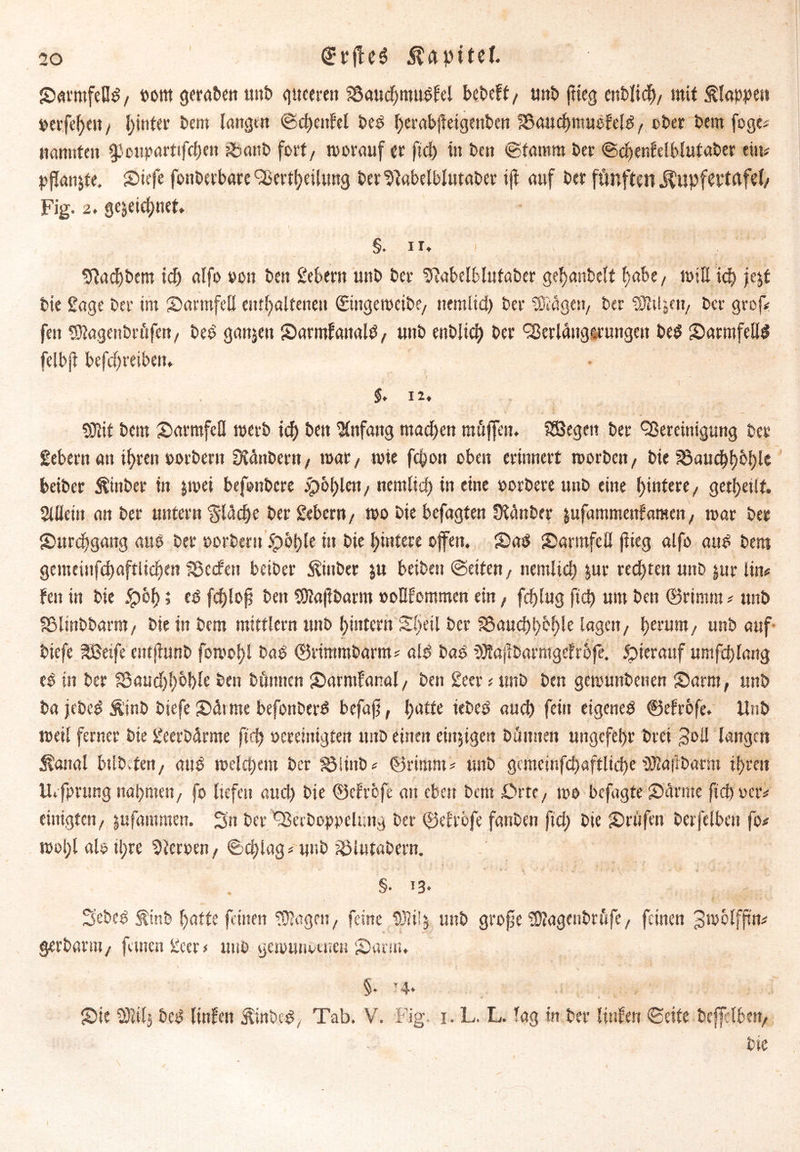 i JDarmfeBd, t>om geraten unP gueeren SSaudjmudfel bcPeft/ imt> ftteg entließ/ mit Staupe» »erfreu / hinter Dem langen ©cfjcitfcl Ped herabjfeigenPen ibanchmuefeld/ »Per Pem foge* nannten ipcuparttfd)en SbattP fort, worauf er fiel) in Pen ©famm Per ©chenfclblufaPer ein# pßan&te. {Diefe fonPerbare 'Verkeilung PertftabelblutaPer ijt auf Per fünften j^upfet’tctfel/ Fig. 2. gewidmet» §. n. < ■ ' ' ' ? 9?ad)Pem id) alfo »on Pen £ekrn unP Per SftabelblutaPer gehgnPelt fjabe / miß ich jejt Pie £age Per im Darmfell enthaltenen ©ngemeiPf/ nemlid) Per SJiägen/ Per SBii^eii/ Per grof# feit SJtagenPröfen/ Ped ganzen {Darmfattald, unP endlich Per 'Verlängerungen Ped {Darmfells felbjt befdjveibeiu $.12. , SöJit Pem {Darmfell met-P id) Pen Anfang mad)en m äffen. SBegen Per 'Vereinigung Per Sehern an ihren »ordern DiänPern, mat/ twe fepon oben erinnert roorPett/ Pie beider Rinder in p»ei befonPere ipof)len/ nemlid) in eine »ordere unP eine hintere/ gekeilt. Stüein an Per untern fläche Per Sehern f wo Pie befagten ÜfättPer jufammenfamen/ mar Per {Durchgang aud Per »ordern 5pöl)le ist Pie hintere offen. {Dad {Darmfell flieg alfo and Pem gemeinfchaftlichen fScden beiber Binder ju beiPctt ©eiten, nemlid) &nr rechten unP |ur lim fen in Pie £61) 5 fd)!ofs Pen $ftajiParm »oüfommen ein, fcplug fiep um Pen ©rimm # unP IBlinPParm/ Pie in Pem mitflern uitb hintern Shell Per S8aud)heh!e lagen/ herum/ unP auf Piefe SBetfe entjfunP fowol)l Päd ©rimmParm# ald Pad PKafiParmgefrofe. hierauf umfchlang ed in Per S3aud)E)6l)le Pen dünnen {Darmfanal, Peti £ecr * unP Pen gewundenen {Darm, unP Pa jeded Äinp Piefe {Därme befonderd befaji, (patte ieded auch fein etgened ©efrofe. UnP weil ferner Pie SeerPärme ftd) »ereinigten und einen einjigen dünnen ungefehr drei 3oll langen Äanal btlP.tert/ and melchem Per $3ünP# ©rimm * unP gcmeinfchaftliche üJlafiPatm ihren lUfprung nahmen, fo liefen aud) Pie ©efrofe an eben bem Orte, rno befugte-{Därme ftd) »er# einigten/ jufammtn. Sn Per Verdoppelung Per ©efrofe fanden ftd) Pie {Drüfen Perfelben fo# woi;l ab tl)re 9ter»en , ©djlag# unb iÖUstabern. §• 13* SePed Sind hatte feinen Klagen, feine $)<i!$ unP grofe SJlagetiPrüfe, feinen Jmolffm# gerParm/ feinen £cer * und gewundenen {Darm. §• '4* {Die Sttilj Pcd linfen ÄittPcd, Tab. V. Fig. 1. L. L. Tag in Per Hufen ©eite Pcjfelbett, Pie