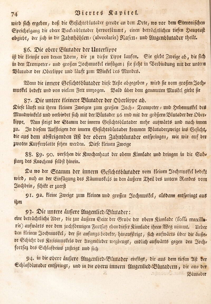 n>irt> ßd) ergeben / baß bie ©eß'c&tdblutaber gerate an betn .Orte, wo »or bem ©tenonifd)m ©peichelgang bie obere ShacHnbltttabcr heroorlcmmt, einen beträchtlichen tiefen £>aupta(l itbgtebt/ ber ficß in bie 3al)ttf)bl)le»* (alveolaris) Olafen* unb Uugenblutaöer theilf. 86. ®te obere ^(«taber t>er Unterlippe iß t>ie Hetnfte »on benen Sebent, bte jtt tiefer Sippe laufen, @te gtebf Steige ab, bie ßd) in beit Srompeter * unb großen Sod)mueHl einzigen; fie (kl)t in 9ßerbinbung mit ber unter» ISlutaber ber Oberlippe unb lauft $um SBinfel bed SDluttbed. SBemt bie innere ©efid)t$blutat>er biefe riefte abgegeben, mtrb fte »ont großen Söd^ utudfel bebeft unb von melem ^ett umwogen. fSalb über bent genannten Sßudfcl giebt fte 87. £»e untere Heinere SMutaber ber Oberlippe ab. £*tefe läuft mit itjrcn Heinen ^tteigett jum großen Sod) * Srontpefer * unb Spebemudfel bed SRunbminfeld uttb oerbmbef ßd) mit berS3lutaber 86 unb mit ber großem S3lut«ber ber Ober« lippe, 9lun (leigt ber ©famm ber tmtertt ©eßd)fdblutaber mehr aufmärtd unb nad) innen |U. Sn tiefem Uufßeigeu ber imtern ©eftd)tdblufaber fommett Shlutaberjmeigc ind ©eftchf/ bie an$ bem abfleigenben Uff ber obern 3<*bnbltttaber entfpringeu, mie mir auf bes jmofett Äupferplatte fef)eu merbett, Oiefe Heilten gmetge 88* 89» 90. »erfel>en bie ftnochenhaut ber obern Äinnlabe unb bringen in bie ©ub* ßan& bed Quöchend felbjl hinein, £>a mo ber <5tamnt ber innent ©eftd>t6blutaber »orn fleinen Sodwtudfel teteft mirb, ttal) an ber (£tnfägung bed ÄäumudHfd in ben ändern ISfytil bed untern fKanbed pom Selbem, fd)\U er $uerß > 91. 92, Heine 3meige jum Heine« unb großen Sechmudfel, aldban« entfpringt and ihm 93> ©te untere äußere Uugenlieb^Ölutaber: eine beträchtliche Uber, bie jur äußern ©eite ber ©rube ber obern ^innlabc (fofla maxilla- ris) aufmärfd oor bem jodjformtgcit ^ortßtß eben tiefer Ätnnlabe ihren SB eg nimmt, lieber ben Heilten 3od)mubfe!, ber ße anfangd bcbcHc, hinaufßeigt, ft eh aufmärtd über bie änße* re ©d»d)t bed Ärcidmtidfeld ber 2Utgeiiliebev megbeugt, entlieh aufmärtd gegen ben Sody fotlfaj bed ©chlafbeiitd jußetgf unb ßd) 94. in bie obere äußere Uugcnlteb^lutaber etnfögf, bie and bem tiefen Uft 8er ©chlafbiutaber entfpringt, unb in bie ober» inner» UugenlteD^lutabern, bic aus ber pöiutaber