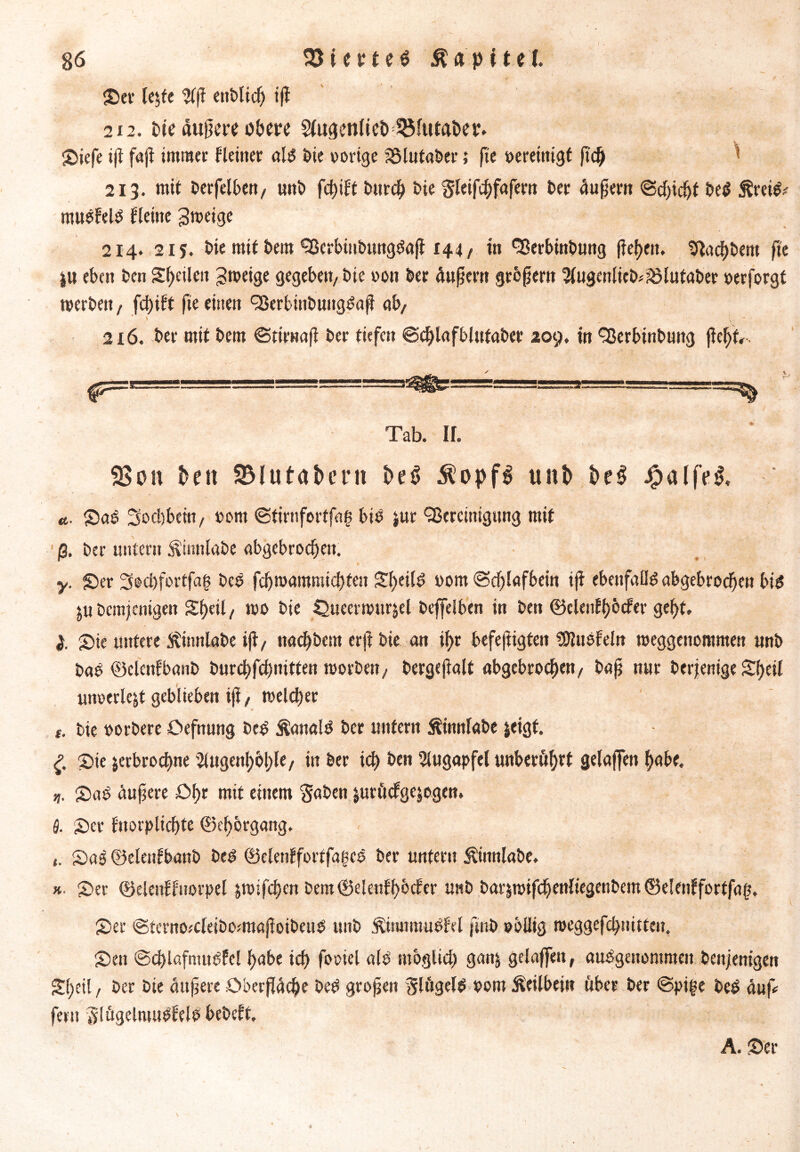 Ser le$te Aß ettblich iß 212. bie dunere obere ^ugenlteb 3Mutaber. Siefe iß faj! immer Heiner als bie »orige ?8lutaber; fte bereinigt ß'df) ’■ 213. mit berfelben/ unb fcßift burch bie gleifchfafern ber äußern Schicht be$ jfreiS* musfelS Heine 3meige 214. 215. bie mit bern BcrbüibtutgSaß 144 / in Berbinbung freien. Slachbem fte }«eben ben Steilen grneige gegeben/ bie »on ber äußern großem Augenlieb*?ölutaber oerforgt werben, fchift fte einen BerbütbuitgSaß ab/ 216. ber mit bem ©tirnaß ber tiefen ©chlafblufabcr 209. in Berbinbuitg ßcbf,. Tab. II. 58 on en 3Mutat>crn t>eS $opf$ unt> Jg)alfe «• SaS 3ocl)beitt/ »ont ©tirnfortfag bis jur Bereinigung mit ß. ber untern Ä'innlabe abgebrochen. y. Ser Socßfortfaf? beb fcbmammichteu Sf)ei(^ porn ©dfjlafbein iß ebenfalls abgebrochen bis ju Demjenigen Sheil / mo bie Oueermur&el beffeiben in ben ©elettfhbefer gef)t. 2. Sie untere ftinnlabe iß/ naeßbem erß bie an ihr befeßigfett fDlusfeln meggenommen unb baS ©elenfbanb burchfchmtten roorbett/ bergeßalt abgebrochen/ baß nur berfenige Sf>ei( unoerle&t geblieben iß, welcher v %. c. bie porbere Oefnung beS Kanals ber untern Äinnlabe jeigt. £ Sie jerbroeßne Augenhöhle/ in ber ich ben Augapfel unberührt gelaffen hübe. n. SaS äußere Ohr mit einem $aben jurüefgejogen. fl. Ser fnorplichte ©eh&rggng. *. SaS ©elenfbanb beS ©elenffortfajtcS ber untern Äinnlabe. k. Ser ©elenffuorpel jmifchen Dem©elenH>bcfer unb barjmifchenliegenbemöelenffortfag. Ser ©terno;cleibo;maßoibeuS unb SimtrauSM ftnb »bilig roeggefchnitten. Sen Schlafmittel habe ich fooiel als möglich gan& gelaffeit, ausgenommen benfenigen Shell / ber bie äußere Oberfläche beS großen Flügels vom Keilbein über ber ©pige beS äuß fern glügelmuSfels bebeft. A. Ser