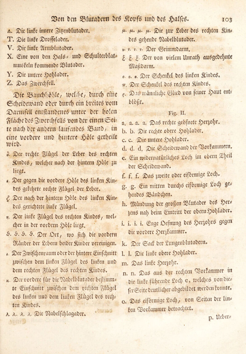 a. Sie fistfe innere 3i^»b(«tat>cr, T. Sie linfe Sroffelaber. V. Sie linfe 2lrmblutaber. X. (gine »01t beit 5palb# uttb ©djultcrblat# mubfeln Fommenbe S3lutaber. Y. Sie untere Sohlaber. Z. Sab ßn>erd)fell. SM’e SSauchhPhlC/ welche/ fcuvdh eine 0d)ciDetnanD ober tsurd) ein breitet Pom ©armfeil ewftanheneb unter Per fjofen fläche beb Swerehfellb ponbet* einen ©eu te nact) Per anPern laufenPeb £5anP, in eine PorPere ttnb (untere jpPle getpetlt Wirt)* l Ser rechte ‘glögel ber gebet beb rechten Sinbeb/ welcher naclt ber hintern 5pole ju liegt» *. Ser gegen bie »orbere 5pble beb linFen Sin# beb geredete rechte glügel ber Sebcr. £ Ser naci) ber hintern 5pole beb Hufen Sin# beb gerichtete linfe Flügel. «. Ser Hufe Flügel beb rechten Sittbeb/ t»el# d)ec in ber oorbern 5pble liegt. &. 5-. &. &. Ser Ort, t»o fiel) bie »orbern Räuber ber Sebent bcibcrSmber bereinigen. i. Ser 3n>ifd)eurattm ober ber hintere (ginfd)uitt jmtfcfiett beut linfett Ringel beb linfett tittb bent rechten Slügcl beb rechten Sütbeb. k. Ser »orbere für bieTiabelblittaber bepimnt# te (güifchnitf ^tt>ifd)ctt bent rechten §ltigcl beb Itnfen ttnb bent littfett gtftgel beb red)# ten Sinbeb. a. a. a. a. Sie PMelfchlagabcr. jt4. fi, /i. fi. sie 5tu Seber beb red)ten Sin# beb geheube Dktbelblutaber. *• v. v. v. Ser ©rimmbarm. I-1- £. Ser »ott »ielcm Unrath aubgebehnfe SDiaftbarm. «. 0. •. Ser ©cpenfel beb Itnfen Sinbeb. ir. Ser ©chenfel beb red)ten Sinbeb. S.tbtttattitliche ©lieb »ott feiner 5paut ent? blcpt, Fig. 11. a. a. a. a. Sab rechte geöfnete Ser&ol)r. b. b. Sie rechte obere <pol>lat>er. c. c. Sie untere 5po!)labcr. d. d. d. Sie ©d)cibct»attb ber QSorfammern. e. Sin roibernatürltdjeb Soch int ®bern ^l)eil ber ©d)cibcmanb. f. f. f. Sab jtoeite ober eiförmige Sod). g. g. (gitt mitten bttrehb eiförmige Soch ge# hcitbeb S3änbd)ett» h. ?9Uinbmtg ber gropen Sölutabcr beb Ser# jenb nah heim Eintritt ber obern 5pol)laber. i. i. i. i. (gngc öefnung beb Ser*ol)rb gegen bie »orbere Serjfdmmer. k. Ser ©aef ber Sungcnblutabent. l. 1. Sie littfe obere 5pol)laber. m. Sab linfe 5pcr$ol)r. n. n. Sab attb ber rechten ^orfammer in bie linfe fuhvenbe Sod) e, t»cld)cb »ottbte# fcr@cite beutlid)cr abgebtlbet werben fomite. o. Sab eiförmige Sod), »on ©eiten ber litt# fett QSorfatwuet betrachtet. p. lieber#