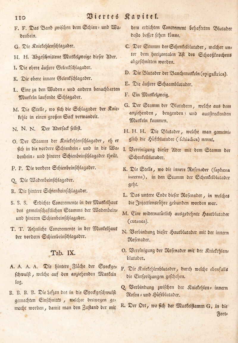 HO F. F. ©as S3anb jtmfdjett bem ©chten = unb SBa^ tewbeirt. G. ©te Äniefefjlenfchlagaber. H. H. Tlbgefchnittene SOtusfefjweigc liefet* $ber. I. ©te obere dujkre ©elenffchlagaber. K. ©te obere innere ©elenffchlagaber. L. €tne ju ben 3Baben * unb anbern benachbarten ©tutffeln laufenbe ©d;lagaber. M. ©te ©teile, too ftdj bie ©djlagabee ber itnie* fe^te in einen großen ©acf «ermanbelt. N. N. N, ©er TCberfacf felb{R Ö. ©er ©tamm ber j?niefefjlenfchlagaber, e| er $d) in bie oorbere ©chtenbein * unb in bie 2Ba* benbein? unb Jinfere ©c|ienbeinfehlagaber t§eilt, P. P. ©te borbere ©chtenbeinfchlagaber. Q. ©te SBabenbemfcf)lagaber. R. ©te §mtere ©chienbemfd)lagabet% S. S. S. Crbic^te Soneremente in ber ?9tusfelhaut bes gemeinfchaftltehen ©tamms ber SSabenbeirt* unb ^intern ©chtenbeinfchlagaber. T. T. Sehnliche Soncremente in ber SOtusfelfjauf ber borbern ©chienbetefchlagaber. Tab. IX. A. A. A. A. ©ie hintere $ldc|e ber ©pecfge* fchmulfi, welche auf ben anjiehenben Sftusfeln lag. \ B. B. B. B. ©ie lefjen t>es itt bie ©pecfgefchwuljt ghnadjten ©nfdjnitfs , rodcher besmegen ge* macht worben, bamif man ben Sujianb b« mit bem erbicfjten (Soncremmt Behafteten QMutabet bejto heffer fe§en tonne. C. Der ©tamm ber @cf;enfd6!utaber, welcher un* ter bem horizontalen 2lfc bee ©djoojjfnechenö abgefchnittm worben. D. ©ie iSlutaber ber Skuchmusfeln (epigaftrica). E. ©ie dufere @tf;aamWu£aber. F. @n -BtuSfdjroeig. G. ©er ©famrn ber QMutabcrn, welche aus bem anjiehenbcn , beugenben i unb ausflrecfenben SKusfeln fommen. H. H. H, ©ie Slutaber, welche man gemeinte glich bte ^uftblutaber (;fehiadica) nennt. I. ^Bereinigung biefer “Jlbcr mit bem ©tamm ber ©chenMblutaber. * K. ©ie ©teile, wo bie innere Stofenaber (faphena interna), in ben ©tamm ber ©ehenfelblutaber gebt. L. ©aS untere Snbe biefer Dtofenaber , in welches bie ^njectionSrohre gcbunben worben mar. M. ©ne «übernatürlich ausgebehntc Jpautblutaber (cutanea). N. SSerbmbung biefer J?autblutaber mit ber innem SJefenaber. O. 23eretmgung ber Stefenabcr mit ber Änicfehfen* blutaber. P. ©ie Jtniefehlenblutaber, buvch welche ebenfalls bte ©nfpri|ungen gefächen. Q. SBerbinbung jwifchen ber ^ntefe§len * innem Stofen * unb ^uftblutaber. R. ©er Ort, wo jtch ber ÜftuöWftamtn G, in bte gort*
