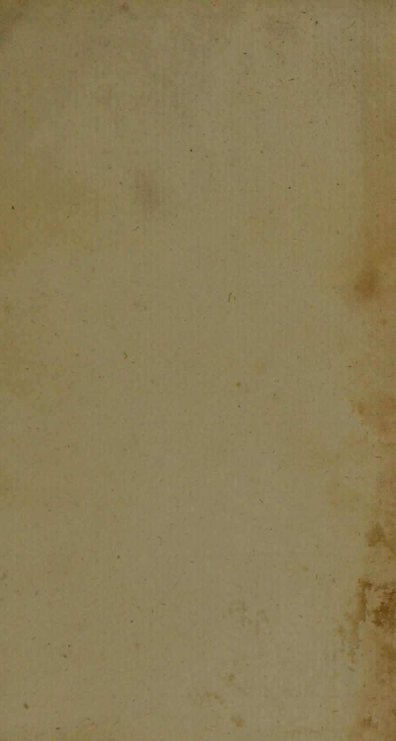 t» n * . . ^ ' •w ' •)