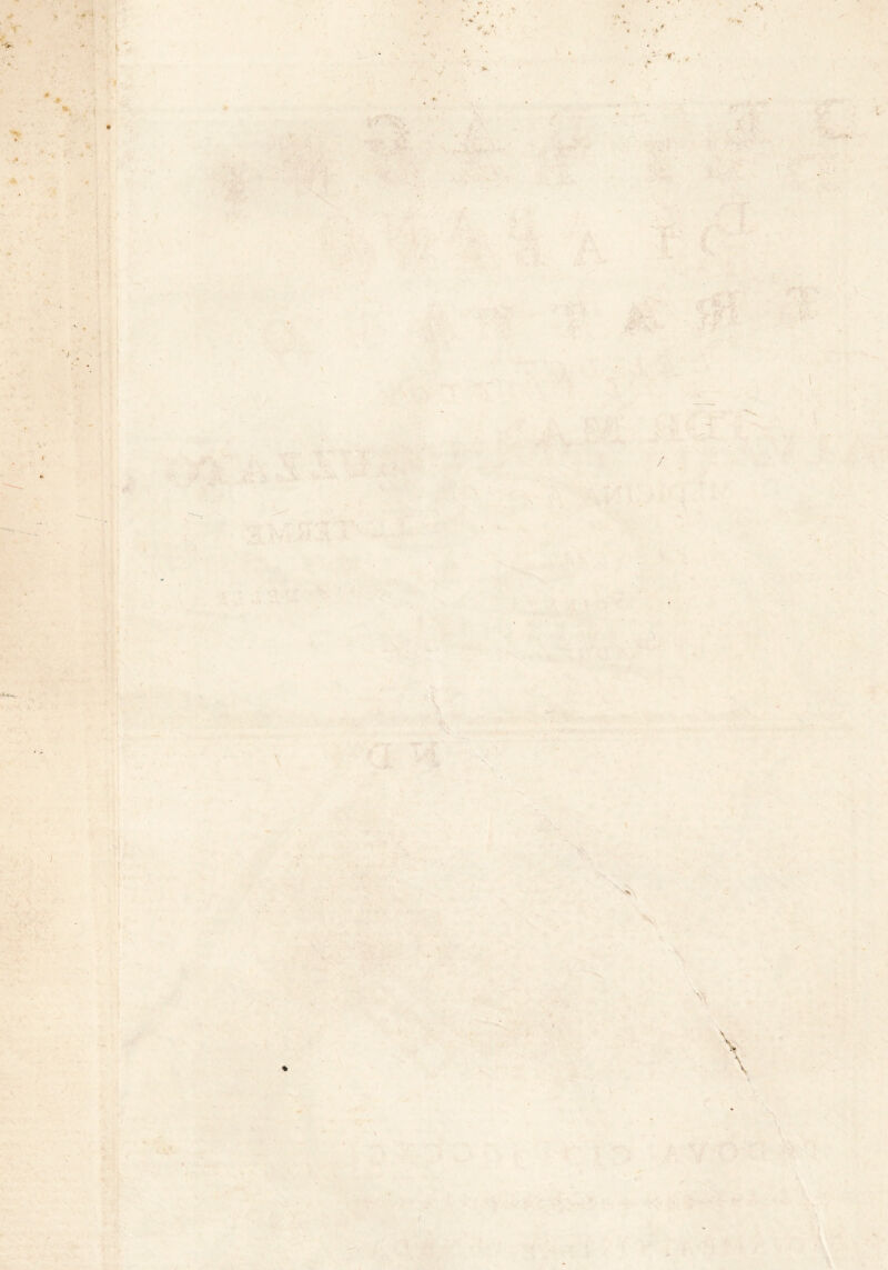 * t*-‘ ' <• - < r V. ■ - 4 * ' * . - • - •f ■ . *«. ■ _ * . _ * •4 ' , . ** ■■ • v? ' • ' ' / ‘ . h • ■ . ■ -J / . . ; - ' - . *