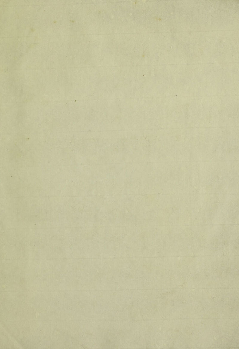 Pu te Raf Mt ta a gf ionon y TR LIO Riva d