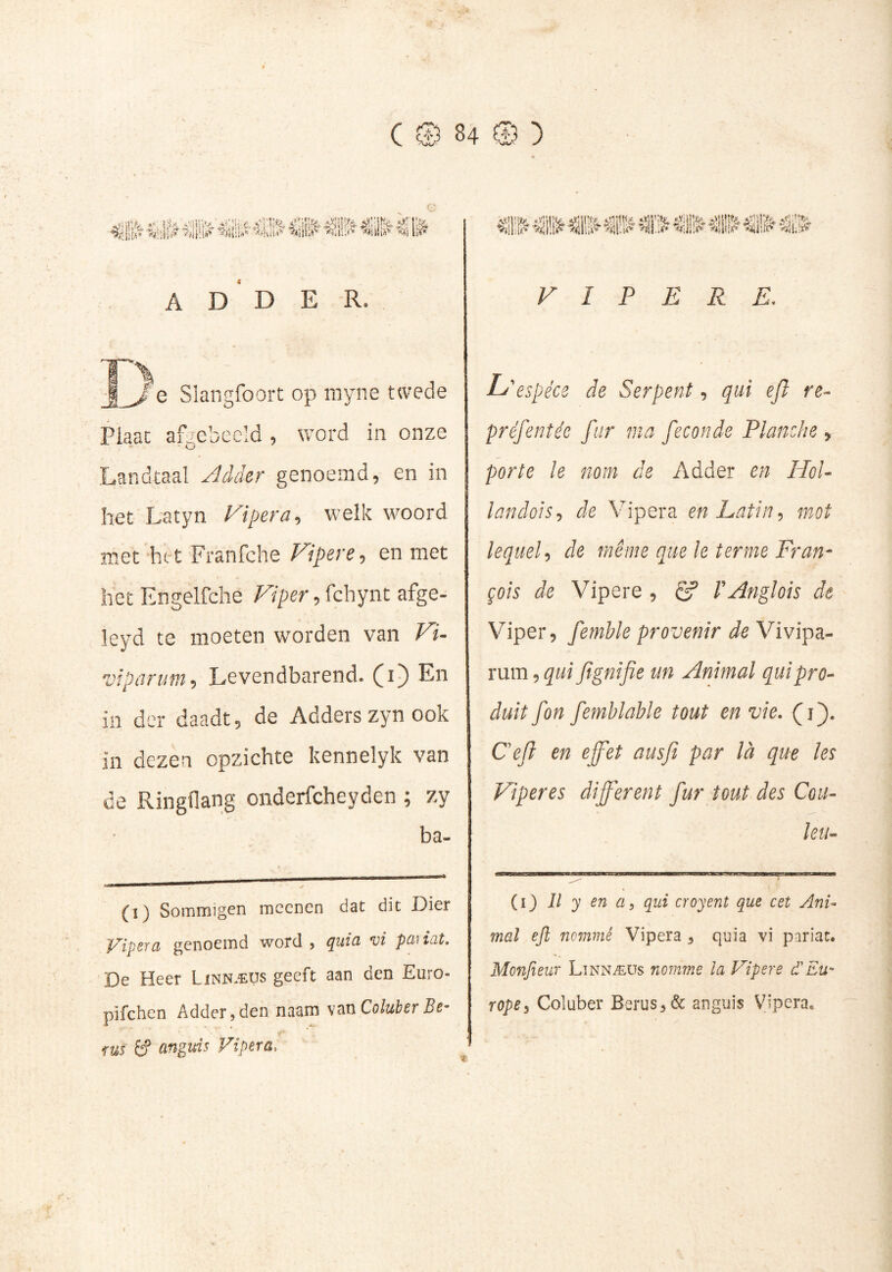 *£i €iii^ ii^ D E R. ■| J e Slangfoort op rayne twede Piaac afgebeeld , word in onze Landtaal y^dder genoemd, en in het Latyn npera, welk woord met -hit Franfche Fipere, en met het Engelfche Fiper, fchynt afge- leyd te moeten worden van Fi- vipanm, Levendbarend. (i) En in der daadt, de Adders zyn ook in dezen opzichte kennelyk van de Ringflang onderfcheyden ; zy ba- (i) Sommigen mccnen dat dit Dier Vipsra genoemd word , quia *üi pa) iat. De Heer Linnæus geeft aan den Euro- pifchen Adder,den naam s^nColuherBe- fus if Vipera. FIPER Lé''espèce de Serpent, qui efl re- préfenïée fur ma feconde Planche y porte le nom de Adder en HoU landois-) de Vipera en Latin ^ mot lequelde même pue le terme Fran- çois de Vipere , c? VAnglois de Viper, femhle provenir de Vivipa- xnm^qui fignifie un Animal qui pro- duit fon femblable tout en vie. (i). Cefl en effet ausfi par là que les Viper es different fur tout des Cou- leu- (i) Il y en a s qui croyent que cet Ani- mal eft nommé Vipera ^ quia vi pariât. Monfieur Linnæüs nomme îa Vipere d'Eu- rope^ Coluber Berus^ôt anguis Vb'pcra.