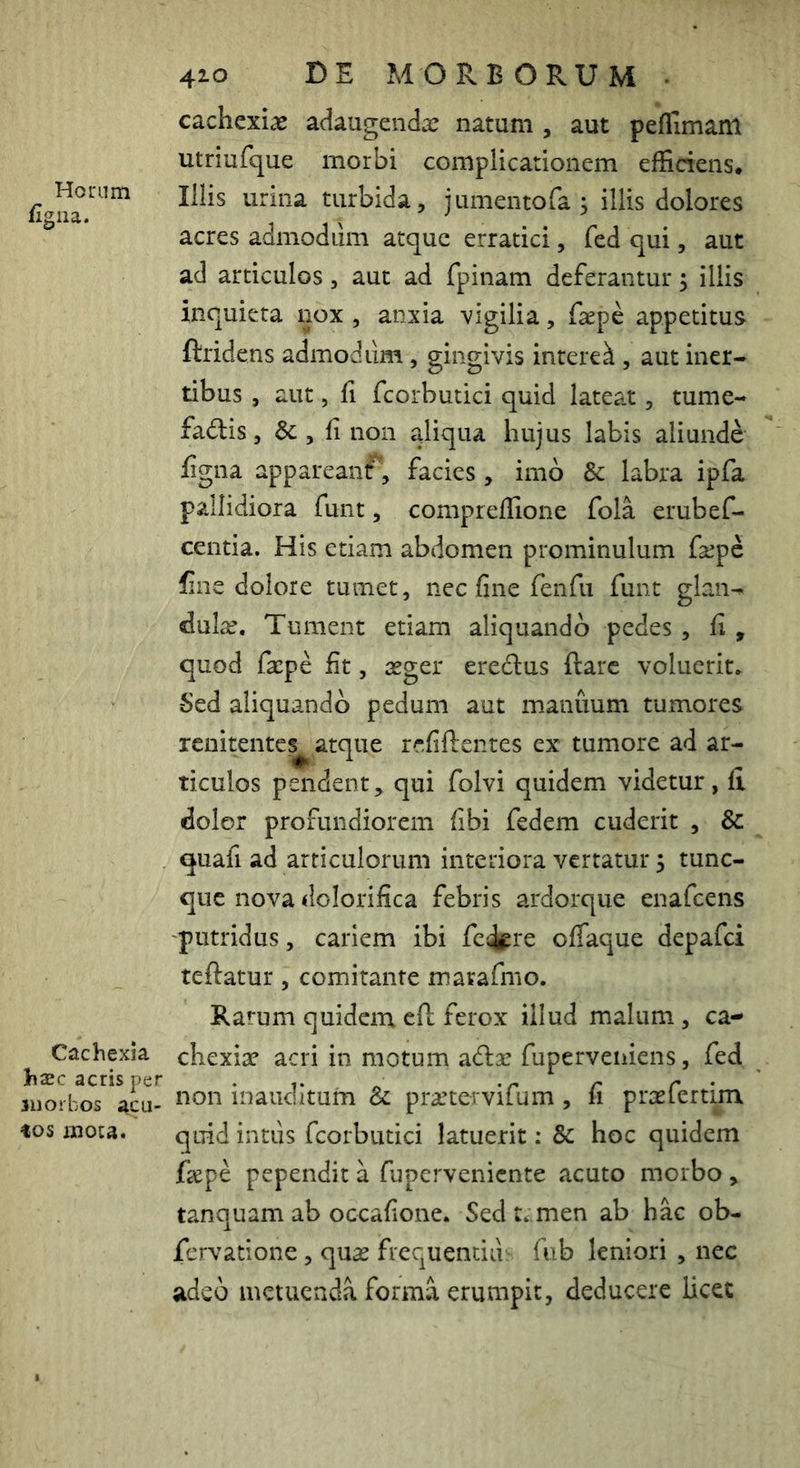 Hoiriim %iia. Cachexia hxc acris per morbos acu- tos mou. 410 DE MORBORUM . cachexiae adaugendae natum , aut peflimam utriufque morbi complicationem efficiens. Illis urina turbida, jumentofa ; iliis dolores acres admodum atque erratici, fed qui, aut ad articulos, aut ad fpinam deferantur; illis inquieta nox , anxia vigilia, faepe appetitus ftridens admodum, gingivis interet, aut iner- tibus , aut, fi fcorbutici quid lateat, tume- fadis, Sc , fi non aliqua hujus labis aliunde figna appareanf', facies, imo & labra ipfa pallidiora funt, compreffione fola erubef- centia. His etiam abdomen prominulum fepe fine dolore tumet, nec fine fenfu funt glan- dulae. Tument etiam aliquando pedes , fi , quod facpe fit, teger eredus ftarc voluerit. Sed aliquando pedum aut manuum tumores rcnitentes^ atque refiflentes ex tumore ad ar- ticulos pendent, qui folvi quidem videtur, fi dolor profundiorem fibi fedem cuderit , & quafi ad articulorum interiora vertatur 5 tunc- que nova dolorifica febris ardorque enafeens 'putridus, cariem ibi fe^pre oflaque depafei teftatur, comitante mavafmo. Rarum quidem cfl ferox illud malum, ca- chexiae acri in motum adae fuperveniens, fed non inauditum & praetervifum , fi praefertira quid intus fcorbutici latuerit: & hoc quidem fiepe pependit a fuperveniente acuto morbo, tanquamab occafione. Sedtimen ab hac ob- fervatlone, quae frequendu: fub leniori , nec adeo metuenda forma erumpit, deducere licet