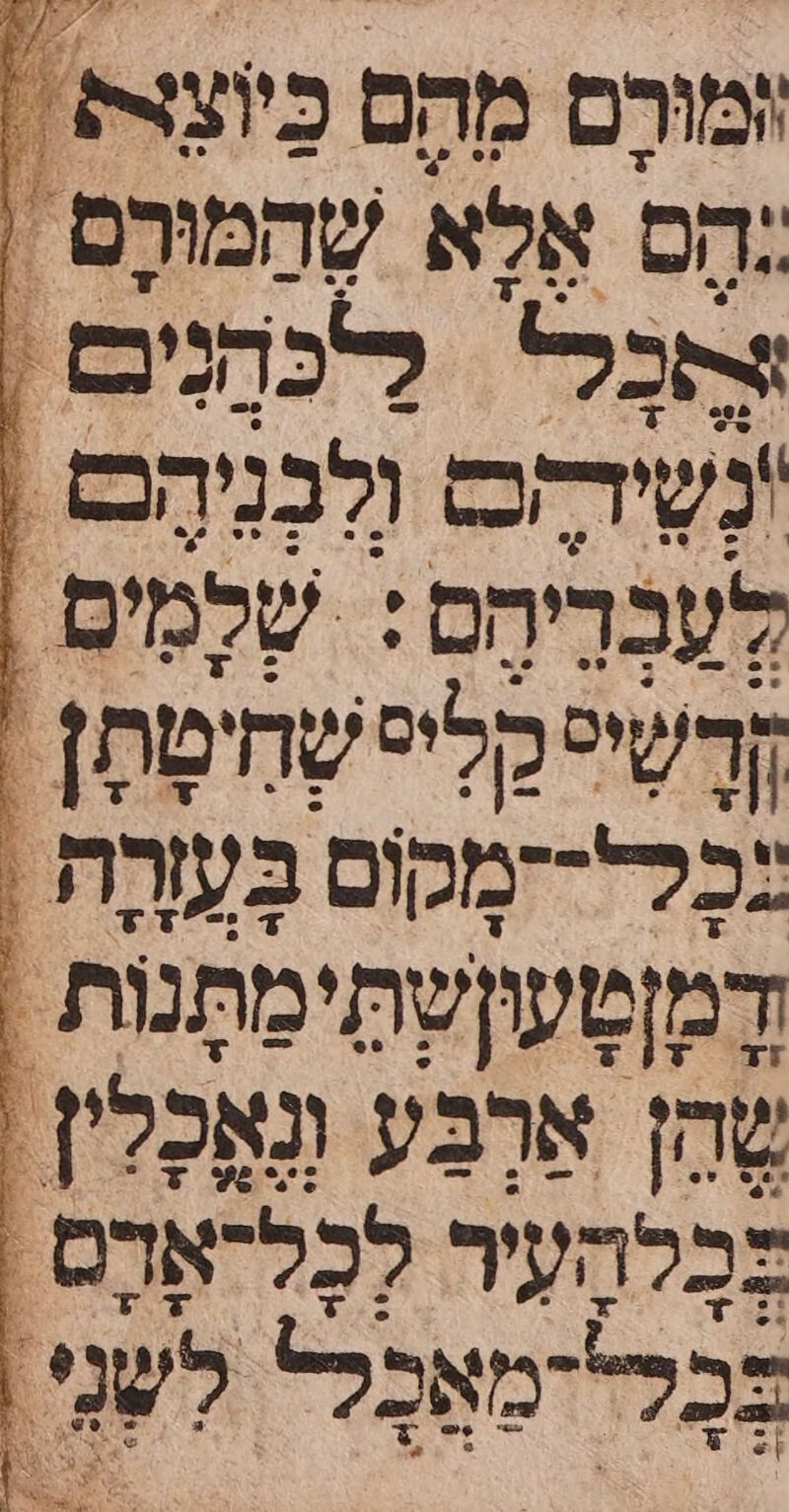 מורֶם מהם כצות = :הס אֶלַא שְהְמוּרֶם \ תבל להני | 'נשידהכז ולְבְנִיהֶם , לְעבְרִיחַס: שְלְמִים | : דיס כָלִיט שָחִימַתָ זַן | כֶלל--מקוס בְּעַָרַת , דְמזְטַעִיְשְתִּימַתָּנות , שהן אַרְבע וְנְאָכַלין : בְכְלהְעִיר לְכְלדאָרֶם , א מַאָכָל* לשני אי