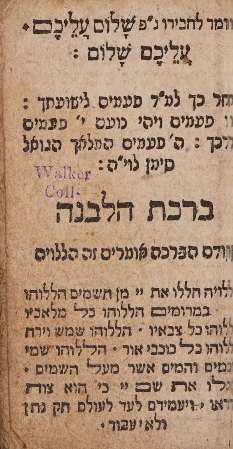 עָלִיכֶם שלום + | |  כך 7 פעעיס. שועתך : \ פעמיס ויסי כועס  פפמיס לכך. : םס פעמיס ספלפך סנופף > כיפן ו : , % : +[ 7 ו % 5 ברכת חלבנה'. לס ספּרכס 7 . סוס 2 > במרומיכ; ל 7 8 צבאץ > 8 ש 5 ארז שבם 5 בל הוא 3 או +ו'עמידם לער לול הו