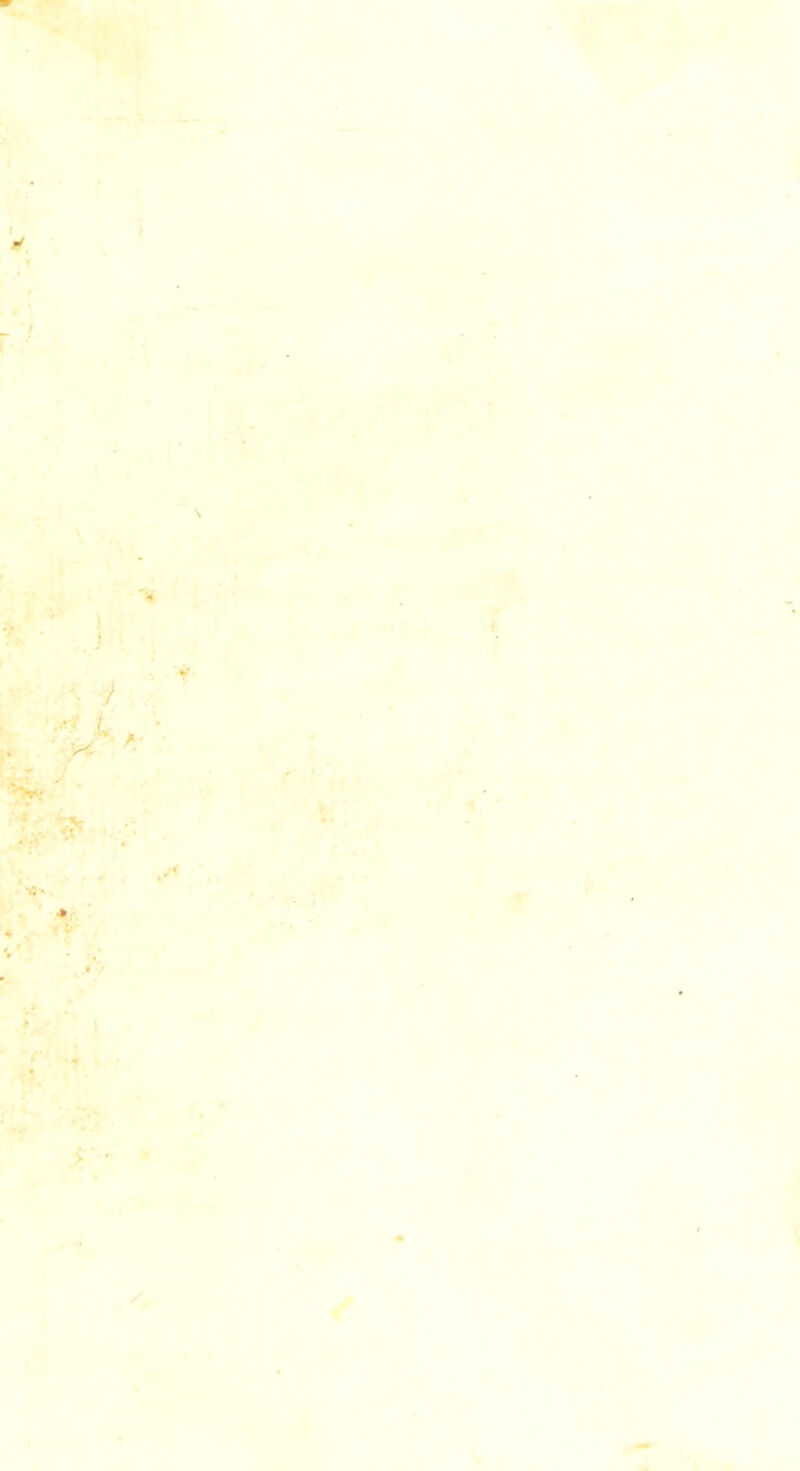 4 I I » I 9 f« r •*■ ■.)■■’[ . ^■r ^:;, iV r ^ ^ 4 t*^ ^' ■% . '■ ^f ■ • ' T#, v: - l r ^ . t «• ' -^-4 *n,' >.* * ••f I .f'- ■f ■* r