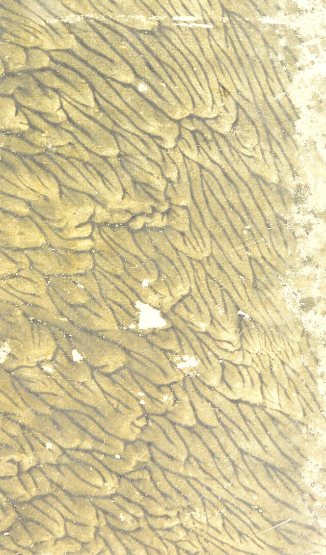 digitised image 1