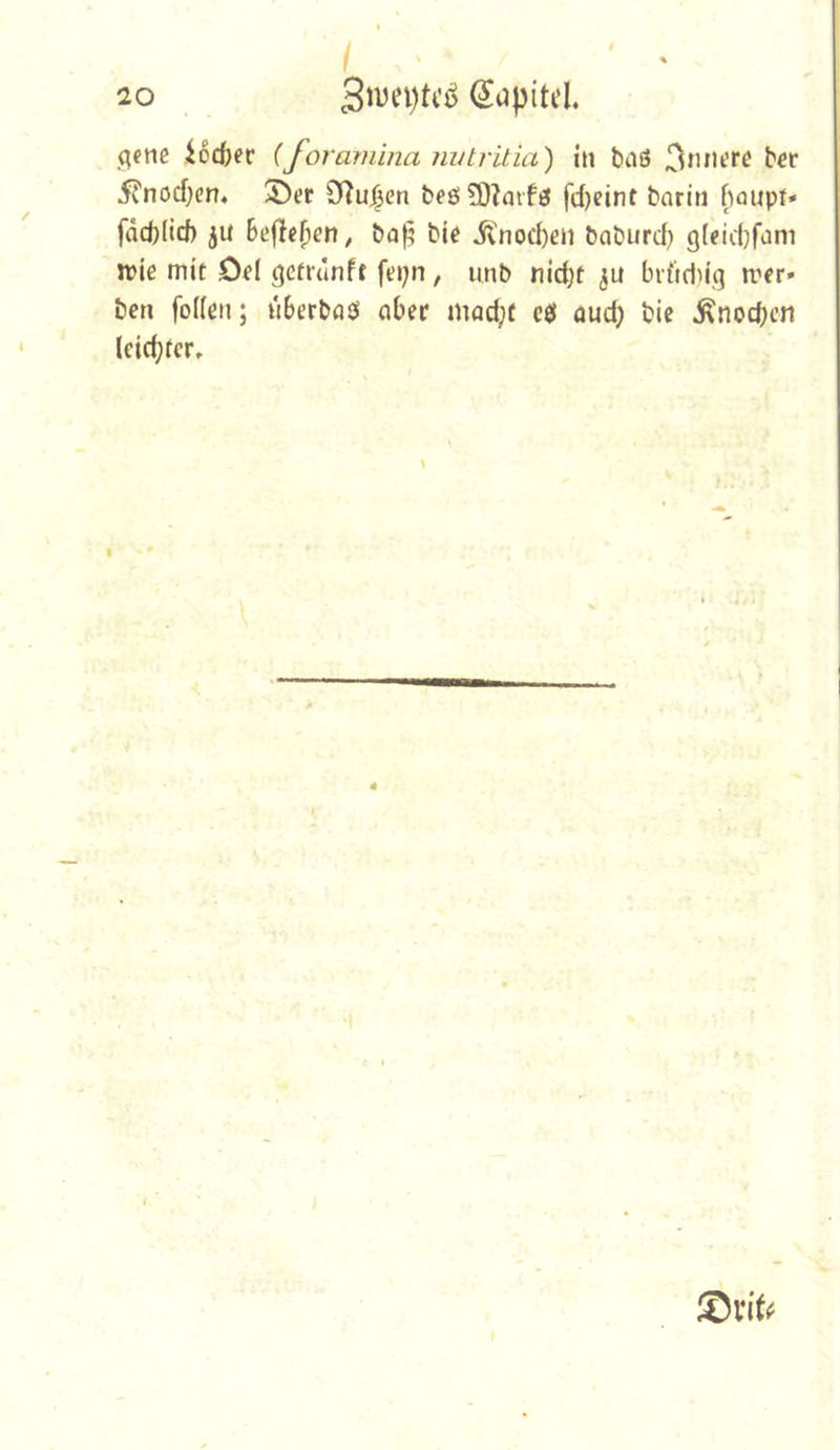 / ' 20 3njei)tcö (Jijpitd. qenc ißcfeer {foraminamdritia) in baö 5?nocf}cn* Oluj^en beö 9)?avfö frfjcint barin baupf» fäd)Iicf) jU Befielen, ba^ bj^ Jl'nod)en baburd) gfeidjfam n?iß mit ,0^1 gcfiunft fepn, unb nidjt ,511 brftdn'g rrer* bcn foKßii; uBerbasS aber mad;f cö aud; bic ^nocbcn leidster. 4 Svit^