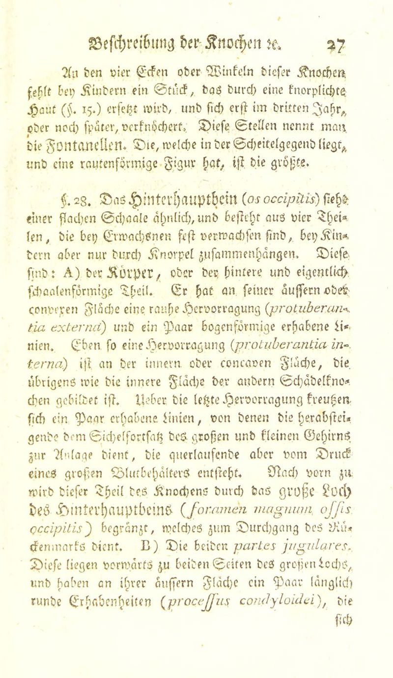 ?Sefc{)rel6im^ t)er Snoc^en h. 2(ii Sen üier ^cfcn ober QBiiifoIn biefsr ^ooefteni m [■ ei) j\inbern fin 0tucf, bqö fcui'd) eine tnorpücfer^ J^ou^ (§. 15.) erfe^t wii'b, unb fid) erji im brüten ober ned} fpatcr, t>crfni?d)crf, S)iefe Stellen nennt man. bie ^'OntCinellcn* X)lc, it>e(d;e in ber ©d^eiteigegenb (iegr^, unb eine rnutenfönnige §, 28. J^fntei‘[)auptbctlt (os oedpitis) |7eb^* einer fiad}en @d;aale dlpnlid;, unb bejlc^^t aiiö oier (en, bie bep 0n.''ad)^nen fe|i uern)od)fen finb, bep^iiis^ bern aber nur biird) ivnorpei ^ufammen^'idngem ^ieffr finbt A) ber5v6rpcr/ ober ber unb eigeneü^^ [d)aa(enfürmigc (Sr ^ac an feiner duffem obefc contepen eine rauF)e ^crüorragung {protiiberan<K. tia exiernd) unb ein -Paar 6ogenfi3rniigc erhabene fi«. nien. Cl'ben fo eineiDernorrayung {protuherantia in^. terna) i|I an ber innern ober concaoen Süicbe, bie, ubrigcnö irie bie innere ^iddje ^er anbern Sd}dbe(fno^ eben gcbilbet ifb. lieber bie (e^te .^eroorragung freuten, firf) ein paar erbabene finien, oon benen bie berobftei* genbe bem ©id)eifortfnß beö- gtofjen unb fieinen ©ebirnS giir 7(n(aae bienf, bie giicriaufenbc ober bom S^riuf cincfi! grof^en iblutbebditevd cntftebf« Silad.) 'oorn 511 nnvb biefer be.ö Änod}cn5 bind) baö gl’ü^C iPd> .ibintei’i)auptbc!nß- {fommen magnum, ojjls oedpitis') begrdnjf, n.ic(d)e6 ^um 5^urd)gang bc5 iXi!* rfenmarbß bienf. B) Die beiben partes jngnlares. Diefe liegen r>om>drt!j ^u beiben ©eiten bcS gro|jenlcd)iv unb haben an if;iver duffem 5(dd)C ein paar Idnglid) runbe (Srhabenbeiten (^procejjus condyloidd), pie f!fb