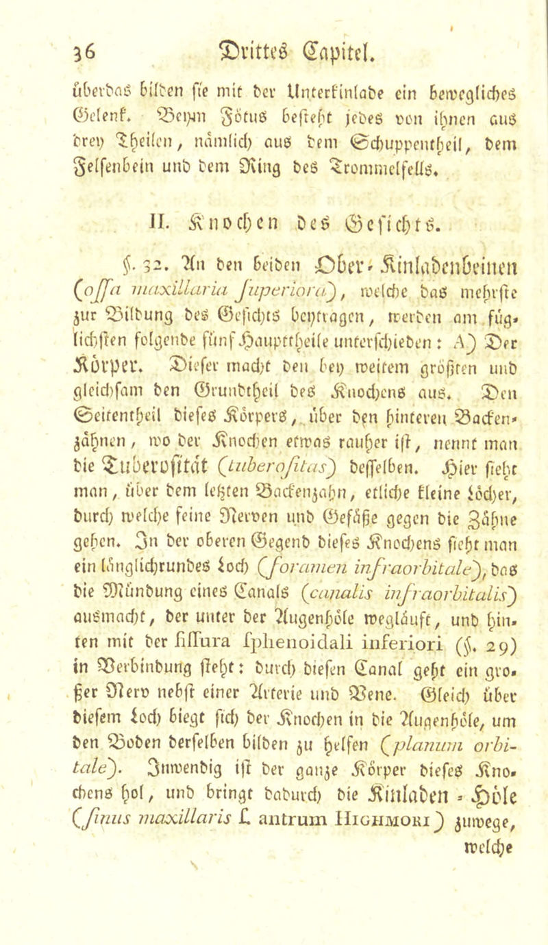 übevt'aiS 6i(ten fte mit bev Untecfinlabe ein Bett'cgficf)?^ 0c(enf. ^Sci}jn götuö 6efte(it jcbeö ven ihnen caiß trei^ '^^eiicn, namlid) au6 tem @cf)uppeiuf)eil, t)em Seifenhein unb bem Dung beg ‘^rontmclfeüg, JI. Ä'nod)cn Des ^Scftcf)tö. §.32. 'Hn ben heiben Ober ^ 5linIat>Cl]ßcilU'll (^ojfa TnaxilLuria Juperiora'), melche baö mcfnftc jur D3i(bung beg ©efid;tö bcptiögcn, rrerben om fug. (id}fren folgcnbe fünf J^nupttlpeile unterfd^ieben : A} 5)er 5l5l'per. X^iefee mad)ü ben hep meifem gro|jren uiib glcid)fam ben ©fuiibt^cil beg iCnodjeng aug* J)cn ©eitentheü biefcg ^orpevg, über bfn fiinteven ^Sacfen* jaf^nai/ mo ber ivnodien efirnS rniif;er ifl, nennt innn tie ^uberüfftrtt Quiberoßtas^ belJelbcn. ^ier ftehc man, über bem (egten Sacfen5abn, etlid;e tIcine iod)er, burd} a'e(d)e feine 97erten unb ©efü^e gegen bie Bahne gehen. 3n ber oberen ©egenb biefeg 5^nod;eng fiebr man ein lünglid;runbeg ^od) Qforamen infraorhitale),Xic^^ bie 9)iünbung eineg (Tanalg (canalis injraorhitalis) öugmad}t, ber unter ber ^fugenfiolc aeglüuft, unb f;in. ten mit ber filTara rplienoidali iiiferiori 29) in 95erbinbung fielet: buvch biefen ©anal ge^t ein gro. ^er 97ero nehjt einer 2(rferie unb Q.^ene. ©leid) über biefem iod) biegt ftd; ber j^nod;en in bie ?(ugenhe(e, um ben Q3oben berfelben hüben ju Reifen (^planum orbi- tale). 3nmenbig ijl ber gan^e ivbrper biefeg ivno» chenö ^o(, unb bringt baburd) bie .Jhiinlabrn * ^Öle (^ßnus maxillaris £. antrum Higiimoki^ ^umege, aeld;e
