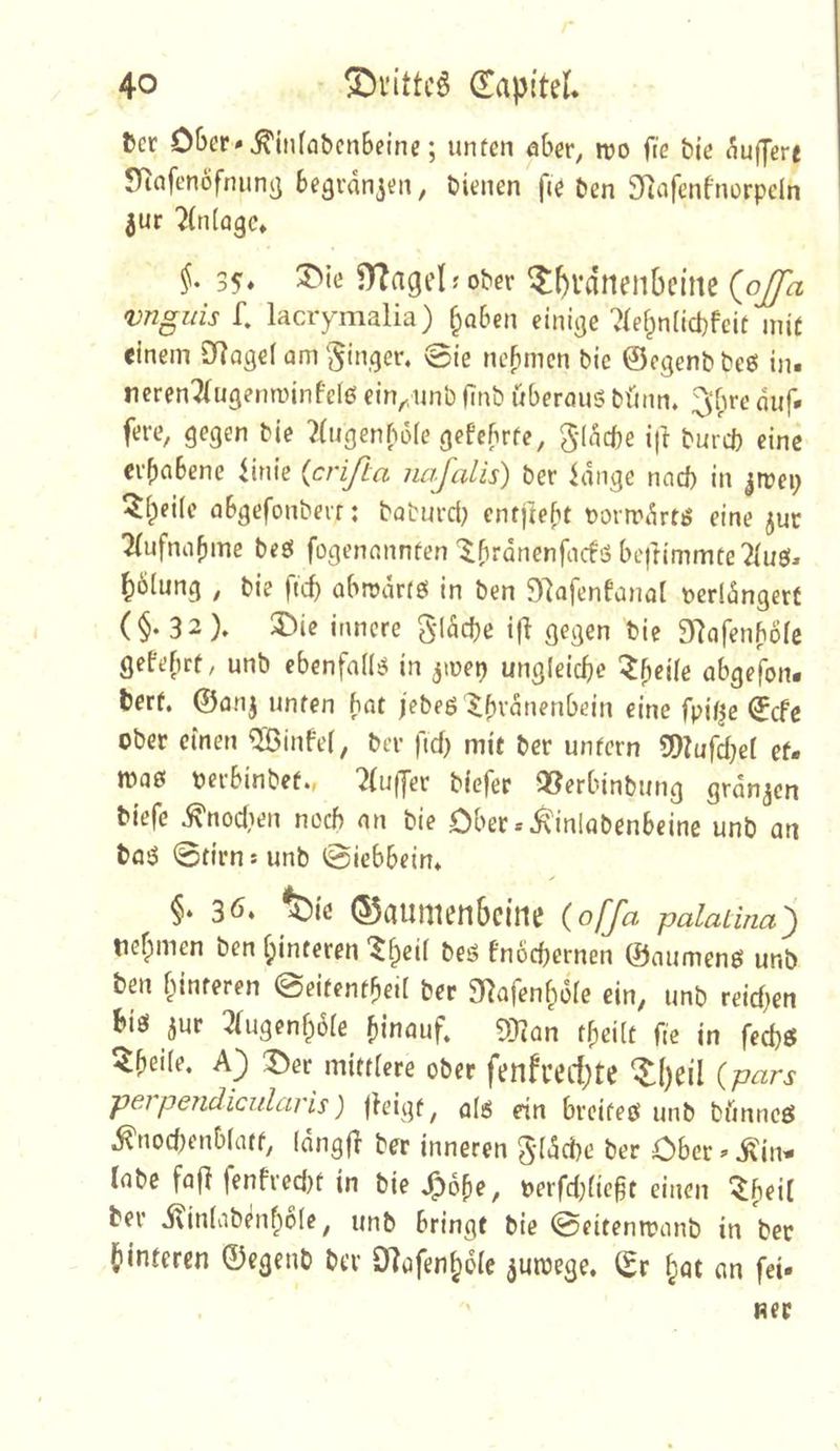 Ücr 06er* ^infabcnbeinc; unten 06er, njo ffe bie Puffere SRnfenöfnimi} Begrdn^en, bienen fie ben 9iafenfnürpcln jur 7(n(agc» §. 35* n?agel;ober ^^vdnenbeiite (oj/h vnguis f. lacrymalia) ^oBen einige ?{eipn(id}feit mit einem 9]age( am'Ringer, 0ie neBmen bie ©egenbbee! in. ticrenTfugenminfcIß ein^,imb finb überaus bünn. ^fpre duf. fere, gegen bie ^(ugenBdie gefcBrfe, gidcbe i|l burcb eine ei'BaBene Unie {crijta naj^alis) ber idiige nad) in ^roep ^Beilc aBgefoubeir: baburct; enfjteBt t)orrrdrtS eine jur 2(ufnaBme beS fogenannfen'^Brdnenfacfs bcjtimmte'^ues. ^6iung , bie ftcf) abrodctö in ben 97afenfana[ t)crldngert (§.32). 2Die innere gläcBe i|3 gegen bie 9]afenB6fc gefeBrt/ unb ebenfaiis in ^mep ungleiche ^B«üe abge^on. berf. ©anj unten Bat jebeS'^Brdnenbein eine fpit^e ©cfe ober einen ^infei, ber fid) mit ber untern SDiufcbel et. maß oerbinbetw ^fufjer biefer 95erbinbung grdnjcn biefe ^nodien nccB an bie Ober .^inlabenBeine unb an taS 0tirnsunb ©iebBein» f 36. ^ie ©aumenbcirte (offa palaUna') nehmen ben fpinteren bes fnocBernen ©aumenö unb ben Hinteren 0eitentBei( ber 9^afenf;.3ie ein, unb reid;en bis jur 3(ugenB6ie Binauf» 9}?an tBeiit fie in fed)ö 5Bei(e. A) 3>er mittiere ober fenfuerf)te ^()eü (pars peipendicularis) jieigt, a(g fjn breites unb bünncS ^nod;enbiatt, (dngfB ber inneren g-idcbe ber Ober * ^in- tabc fafi fenfred)t in bie ^6Be, oerfd}ficgt einen ^B^il ber i?in(abenBo(e, unb Bringt bie ©eitenmanb in ber Binteren ©egenb ber DIöfenBoIe ^uioege. ©r «n fei«