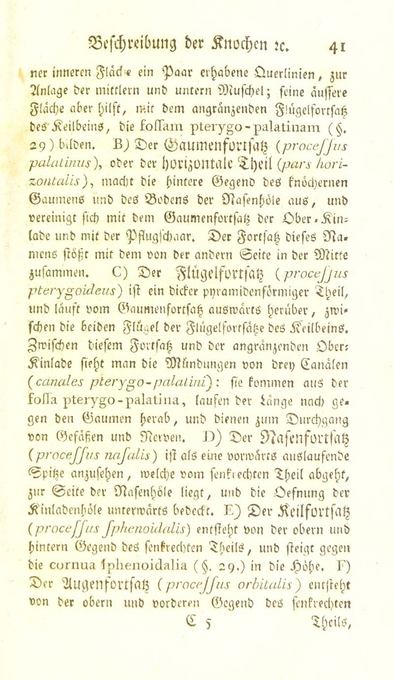 ner inneren « ein ^nar erhabene üuerHnien, 3ur 2(n(age ber niictlem unb untern 9)cufcf)el; feine äuffere g[dci}ß nber f^ilft, mir bem angrdn^enben glugelfovtfaf beö i\eilbein6, tie fofTam pterygo-palatinam (§, 29) bilben. Bj ^er (^aumcnfonfa^ {procejjns palüLinus\ ober ber büVt^ülltaie ‘'^l)cil {pars liori- zo/Uaiis), maci;t bie binfere ©egenb beß fnocl)ernen ©aumenö unb bcö Öobcnö ber 0^?ofenf)üle nuö, unb vereinigt ficb mit bem ©aumenfortfal| ber Ober.^iri: labe unb mit ber ^fiugfc()imr* 5)er biefeö D7a« meng mit bem von ber anbern @eite in ber OJtitfe iurammen. C) ®cr ^^(Ü^dfurtfal^ {procejjns pterygoideus) i|I ein bicfer pnramibcnfbrmiger ^heÜ, unb lauft vom ©oumenfortfaf augmdrtö t^eriiber, ^ivi- fcben bie bciben ^lügef ber ^lügetforffd^e beö d^eilbeing. ^mifcben tiefem unb ber angrdnjenben Obers .^infabc fief^t man bie ^nfinbungen von brcp ^andfen {canales pterygo-palaLinij: fte fommen aug ber fofla pteiygo-palatiiia, taufen ber idnge nnci) ge- gen ben ©aumen f)erab, unb bienen pnn ^urci)gang von ©efdfien unb SRciven. J)) ^er i)?afcllfortfi‘l^ (proceffns Tiafalis) i}} afg eine vorivdrtg migiaufenbc t^pige an^ufe^en , ive(d}e vom fenfiecbten '5i^ei( obgefy, 5ur 0cite bev SRafenfiöIe liegt, unb bie .Cefnung ber ^J'in(abenbd(e untertvdrfg bebecft. E) ^er ^eilfüVtfci^ {proceffns Jphenoulalis) entfielt von ber obern unb bintern ©egenb beg fenfrecbten ^beilg, unb |}cigt gegen bie cornua Ipiienoidalia (§. 29.) in bie J^obe, F) X)er ^lugenfovtfrtß {procejjns orbiLalis) cnrjle(;)t von bet obern unb vorberen ©cgenb beg fenfrecl)tcn © S '^tyilg,