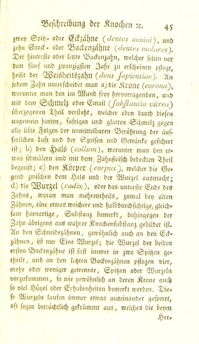 I ^cfi^vdSung bei’ ^itocf;en jc. 45 ^ne\) 0piÖ» oDer ^if,^df)ne {denies canini), unb 0tocf. ober ^acfcn^d^tie {deines molares). X)ev fpiiitcrfte ober (ej^tc ^:öacfen5a§n, n?efd;ec felren noc bem fünf unb ^tuan^igflen 3ofu’ 511 erfd)eincn pflegt, f;ei^t ber ^Beiöbeita^al)!! (dens fapienliae). :>(»i jebem unferfebeibet man a) bie iU’one (corona)^ rrorunfer man ben im 9)?mib frei; beroorragenben, unb mit bem @d)mel^ ober (gmail {Jubftantia vkrea') iiberjogenen 'lf;ei( uerfiebf, n)c(d;er eben burd; ^biefm ungemein barten, fafrigen unb giaften ©cbmefj gegen a((e üble ber unmittelbaren ^erü^rung ber duf= fer(id)en 4uft unb ber 0peifen unb ©etrdnfe gefid;erC ijl; b) ben {collum)^ morunter man ben ef- iraö fdimdlcrn unb mit bem. Sa^nfleifd; bebeeften ^bed begreift; c) ben ^ürpei’ (.corpiis), rceldjer bie ©c- genb pifet;en bem ^alö unb ber Söurjel aug!mad;t; d) bie {radix)., ober baö'unterjie ©nbe beet Babnö, moran man me^rent^eilö, ^umal bei; alten gdfinen, eine etmaö meicbere unb bafbburc(;ficl;fige, gleich- fam kornartige, ©iibilani bemerft, bal)ingegen ber 3akn ubrigenö auö matter i?nod)enfubflanj gebilbet i|l» liw ben 0d;neibejdf)nen, gemdknlicf; and; an ben ©if- idfinen, i|l nur ©ine Sßurjel; bie Sßurjel ber beibeii crfTcn 53acfenjdbne ifi fafi immer in ^roo @piften ge- (keilt, unb an ben lebten Saefen^dknen pflegen vier, mefir ober meniger getrennte, 0pi|en ober ^IBur^eln oorjufommen, fo mie getröbnlid; an beren i^ronc auch fo oiel •^ugel ober ©rbobetikciten bemerft merben. X)ie» fe 3l)ur5eln laufen immer etmaß außeinmiber gefperrt, oft jogar beträchtlich gefrümmt auö, trcld;eei bie bei;m ^er<