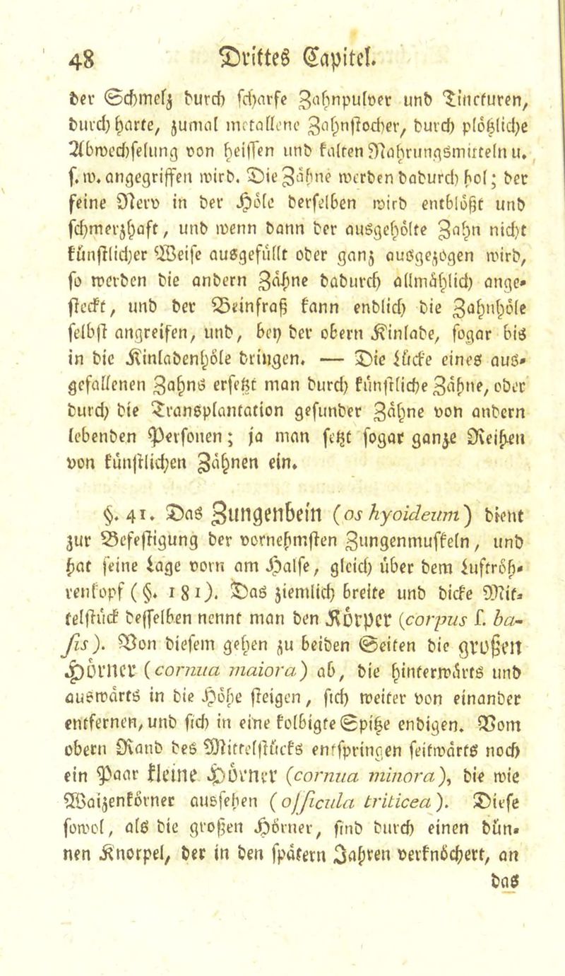 fcn* ©cf)iTiefj ^urc^) fd)nrfe unb ‘Jiiicfuren, t)uvd) ^arte, 5unml nirtaflonc 3‘if;«i)lod)er^ buvcf) p(66(tct}c 2(bn)ed}fe(img von ^eifffn unb fairen 97ohrun.qSmirte(n ii, ^ f.a\angegriffen ivirb. njtrbcn baburd) hol; bec feine D7eii> in ber Jpole berfelben ir>irb entblöße unb fd)merjf^aft, unb ibenn bann ber miSgef^olre nid)t fünfflidjer ^Äeife ausgefullt ober ganj ouege^Ogen roirb, fo treiben bie anbern baburd) allmäl^lid) onge* ffeefr, unb ber S3einfra^ fann enblid} bie 3<J^‘d;6le felbft angreifen, unb, bep ber obern ^inlabe, fogar biö in bie ilinlabenl^ole bringen. — 5)te i&cfe eines auß* gefallenen erfeßt man burd) funfrlid)e3«b*’^ burd; bie Transplantation gefunber 3^^^ne ron anbern lebenben ^«rfonen; ja man fe^t fogot ganje Üiei^en pon funfrlid;en §.41. J)aS {os hyoideiim) bient ^ur 53cfefHgung ber rornebmffen ^iingenmuffeln, unb ^at feine 4age rorn am ^alfe, glcid) über bem iuftriSp- venfopf(§* isO* ^aö jiemlid} breite unb biefe 9Kifa telfiuct bejfelben nennt man ben ^orpCb {corpus f. ba- ßs). ^on biefem gefien ;;u beiben @eifen bie gvü^Clt 4!)Ül'nci’ {corniia maiora) ab, bie ^inferrrÄrtS unb öusrrdrts in bie Jpdbe (leigen, fid) meiter ron einanbet entfernen, unb fid) in eine folbigte(gp{|e enbigen. Q5om übern £)vanb beS ^yiitrelflucfs enffpringen feitrrdrts noeb ein ^aar flcin? 4^ÖvnrV {cormia mlnora\ bie n)ie döai^enfornet ausfehen (ojficula triticea). S>iefe foaol, als bie großen Jpörner, finb bureb einen bün» nen .Knorpel, ber in ben fpdfetn rerfnöcbert, an baS