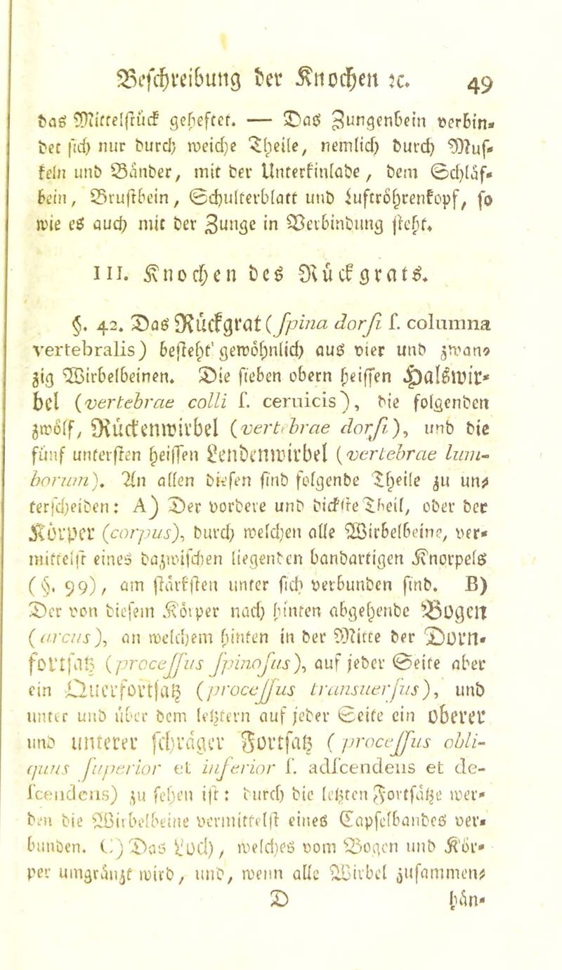 ^ag ^i’ffelfrücf gerieffcf. — 5iDaei ^ungenfiein »er&fn- bet fid) nur burcl) n)eid)c ‘$(;ci(c, nem(id) &urd} ^?uf- felu un& Sauber, mit bei* Unterfitdabe, bem 0d)laf« K’in, Srufibein, 0d)ultevb[att unb iuftroi^tenfopf, fo n)ie eö auü) mit ber in ^eibinbimg III. ^nocf;cn t)cö 0vücföi*dt^* §. 42. S5aö9?UCfgi*Clt (fpuia dorfl f. colamna vertebralis) befielt'gerr6f;n(id) öU£5 t)ier uub ^U'an? ‘2öir6e(6einen. SMe fieben obern bei {vertebrae colli f. cernicis), bte folgenbeti 5n?ö(f, 0^Üctcnn?il’bel {vertehrae dorfi)^ unb bic fünf unterflen ^eiffeu ^cnbeillbivbel {verLehrae liiin^ horum)^ Tin aden bkfen fitib fefgenbe ^f^eile ju un^ terfd)eiben: X)er borbeie unb bicfde^bed, ober bec 5tül’PCl’ (corpi/s), burd} roefd^eu olle ^irbelbeine, ver* mittdfr eineö ba^iinlUen liegenbcn banbartigeu ^vuorpciö ( §. 99)/ am jdarfjleu unter ficb üetbunben finb. B) 2)cr i'on bicfem .^oiper ruid} btuten abgef^enbe bügelt (arcNs), an toe(d}em binfen in ber ?}?itte ber '2)ül’n* fol‘t)'ilt3 {proccjfus JpinoJas)^ auf jeber 0eife aber ein Quci’foi’tja^ {pvocejjus Lransuerjiis)^ unb unter uub über bem leJdrrn auf jeber 0cite ein übevei! unb untern’ |cl)l’dfiev 'Sültfaß (procejjus ohli- (juus juperior et iujerior 1. adlcendeiis et de- rceiidciis) ,^u fcf;en ift: burd) bic (etucn ^-ortfat^e loer* ben bie ^^öitbdbeine iK'rmirtelll eineß dapfidbanbcß oer* bunben. C^j'lDaß i'od), ivieldieß oom Sogen unb ^'or* per umgr<^u5f loirb, nnb, a'enn ade ^dvbet jufammeuij 2) ln*in-