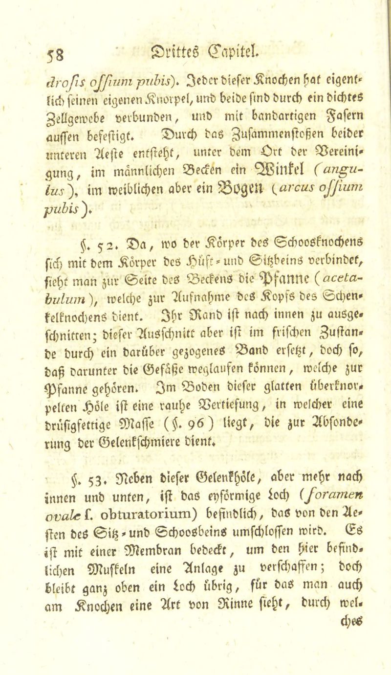 drofts^offinm puhis). 3c^crbiefer ^noct)en ftaf eigene ftrf) feinen eigenen ivnorpel, unt beiöe fmb burd> ein &icf)teS geügewebe »evbunben, unt> mit bembartigen ^ofern üuffen Befefligt* ®uvd) baö gufammenfioßen Beiber unteren Tfejle entfte^t, unter bem Ort bev Vereint* gung, tm mannlicben Seefen ein ^illM (angu- lus\ tm meiblicBcn aber ein {^arcus ofjium fubis^* I ^♦52. ivo ber Körper beö 0cf)ooöfnocbetis fief) mit bem Körper beö ^üfe-unb 0i^beinö ücrbinbcf, fjc^t mon 5ur @eitc beö ^3ecfenö bic ‘^»fanne {aceta- bulum), ireldjc jur 7(ufnabmc beö ^opfö bes 0cl)en- feienod)€nö bient. 3br 3\anb ifi nad) innen ju auöge. fdmiften; btefer 2(uöfd)nitc aber tfi tm fvifepen guftan* be burc^ ein baröber ge^ogeneö ^^onb erfe^t, bod) fo, bo^ barunter bie ©efa§e megiaufen fonnen, mcid)e 5uc (Pfanne geboren. 3m 55oben biefer glatten (iberfnovv pelfen .^ole ifl eine rau^c QSevtiefung, tn n>eld)er eine brufigfemge 5)?a|Te {§. 96) liegt, bie jur 2(bfonbc* rung ber ©elenffcbmiere bient* {.53. SJtcben biefer ©elen!^öle, aber me^r nach innen unb unten, baö epfermige iod) iforamen ovale obturatorium) befinbltd), baö non ben 2le* ffen beö 0i^' unb ©cpooöbeinö umfd)(offen mirb. ©ö ifi mit einer 0D?embran bebceft, um ben ^ier beftnb. lidjen SDTuffeln eine 'Anlage nerfdjaffen; botb bleibt ganj oben ein £od) übrig, för baö man ouc^ am .^nodjen eine 2(rt pon Siinnc fielet, biird} mel- d;eö