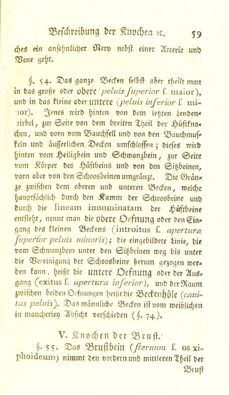 etrt nnfef>n(ici;er ‘J^erü ne&ft einer Zuetk imt) SQent ge^f, §, 54, gan5e 35ecfert fefBf} ö6er tBeiff mmt in baö gro^e oöer übfl’C peluis Juperior f. maior), unt> in t)üö fleinc ober untere ^peluis inferior f nii- lor), wirb i^interi Don bem le|ten ienben* oirbel, jur'0eife bon bem breiten ber ^uftfno« eben, unb born bom 23aud)feü unb bon ben ^aud)muf^ fein unb aufferlicben, 2)ecfen umfcbIo(feii; biefeö ibirb hinten bom J^eiligbein unb 0d)tban^bein, jur 0eife bom Körper beß .^uftbeinß unb bon ben 0i|beinen, born ober bon ben 0d)ooßbeinen umgran3f, 3^ie @cdn< ge gibifdjen bem oberen unb unteren 23ecfen, irelche hfluptfdd)lid) burd) ben ^amm ber 0d)ooöbeine unb burd} bie liiieam innominatam ber J^uftbeinc entließt, nennt man bie obere Öffnung ober ben^n# gang beß fleinen Seefenß (introitus f. apertura fiipei%r peluis minoris); bie eingebilbefe iinie, bie bom ©ebroangbem unter ben 0i|beinen roeg biß unter bie QSeveinigung ber 0djooßbcine berum gezogen wer- ben fann, bie untere Oefnung ober ber 2tuß- gnng (exitus f. apertura inferior), unbberS^aum gn)ifd)en beiben O.’fnungen (;eilitbie ^ccfciihöle {caui-‘ las peluis), ^aßmdnnlicbe 55ecfen ijlbom weiblid;en in mand;erlei; 2(bfid;t berfd}ieben 74)* V. Änotf>en ber ^ruft»' §>SS* ^ruflbdn ißernum f. os xi- plioideum; nimmt ben borbernunb mittleren “^^eil ber $Övu(l
