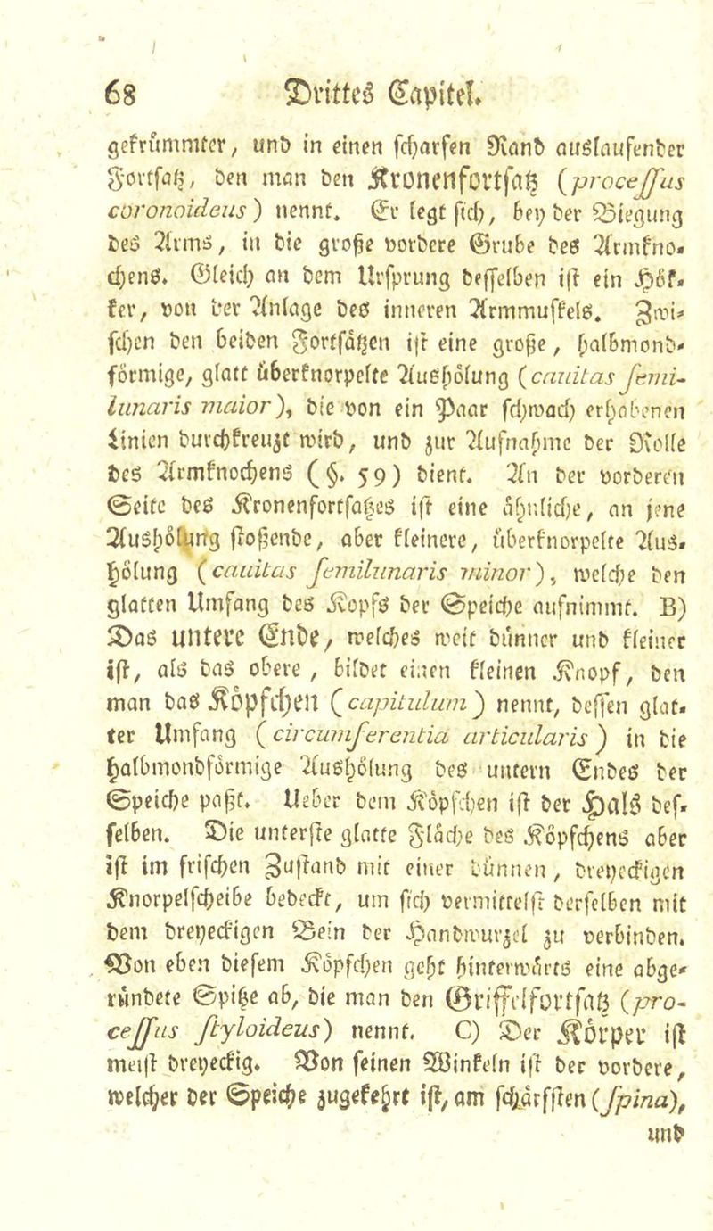 68 ©rittet (Kapitel , gefrumnUcr; unö in einen fcf}arfen 9tön& nuSfnufenter g-oi-tfaf^, bcn man ben jtrünenfoi’tfnß {procejfiis coronoideiis) mr\x\t, (^v [egt ftd), 6fi; ber SSiegung bei5 2limä, in bie gvo^e Dotbcre @i*u6e beß 2(cmfno- c[;en0* ©(eicl; an bem Urfprung befjelben ifi ein ^6f. fer, t)on L*er ?[n[age beö inneren ^Irmmuffelö. fd)cn ben beiben gortfd(?en ift eine gropc, [m^bmonb- förmige, glatt überfnorpelfc 7iuß()o(ung (cnuitas frniU lunaris maior\ bie pon ein ^aar fd^mad} orf^obencn Linien buicbfren^t mirb, unb 5ur ?[ufnabmc ber 0\ol(e beö ^(rmfnocbeng (§. 59) bient, '^(n ber ^jorbert'n 0eitc beö ^ronenf^ertfo|eö ift eine df;r.(id)e, an jene 2(u6f)ö(^rtg fio^enbc, ober fleinerc, überfnorpelte 7(u3. l^ölung {cauitas femilunaris iriinor)^ meiere ben glatten llmfong beö dvopfö bet @peicbe aufnimmt. B) SDaö untere ^nbe/ irelcbe^ ri^cit bnnncr unb fleinec i(l, als bas obere, bifbet einen fleincn .Jvnopf, ben man baS .^opfcfjeil QcapitidLim') nennt, befjen glat. ter Umfang (circumferentia articularis) in bie ^albmonbformige 2(uSl;ö(ung bes untern (SnbeS ber 0peid)e paf^t. lieber bem ^'6p|^ben i(> ber bef. felben. 5)ie unterfre glatte glad)e bes ^öpfc^enS aber i|I im frifeben niir einer lünnen, brepeefigen ^norpelfcbeibe bebeeft, um ftd) oeimittelfr berfelbcn mit bem brepeebigen 53ein bet Jpanbmuv^cl 511 oerbinben. , -Q^on eben biefem ^öpfd;en gc^t binfermörts eine abge>» rwnbete 0pi6e ob, bie man ben ©nffidfüVtfaß (/tto- cejjiis ftyloideus) nennt. C) X>ec J^Ol’pa* i|l mei|l breped'ig* QJon feinen Sßöinfeln i|l ber oorbere, welker Der 0peic(;e jugefe^rc ift, am fdjtdrfjlen (fpind), iinb