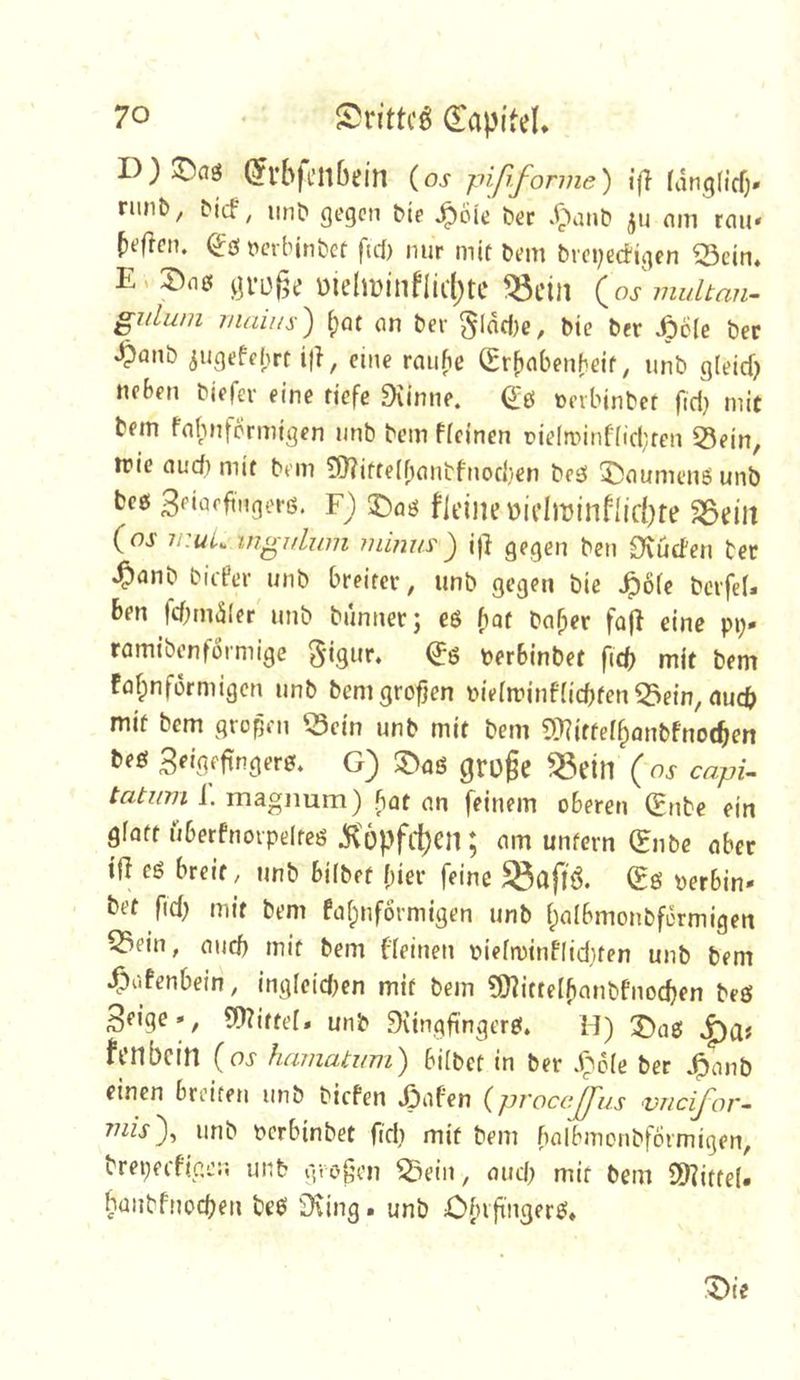 D) ©ciö @l’b|Cllbtin (os pififorme) jff (ving(lcf)» rimt), iM'cf, iint» gegen bte ^6ie ber .CXinf ju nm rmi* ^efren. (^ö r>crbint)ef fiel) nur mit bem brei;edigcn 23ein. E, gveße üie(minflui)te ^cin ( OS niidtan- giilum maiiis) ()at on bei- Slacf)c, bie ber ipcle ber 4?anb iugefcbrt i|b, eine raiifie (Sr^iabenbeif, unb g(eid) neben biefev eine riefe Diinne. (^ö oeibinber fid) mit bem fobnformtgen nnb bem ffeinen tielminfücliren 55ein, n?ie aud) mir bem 53?ifre(fimitfnodien bees 5)aumenöunb bce! 3‘’‘‘3ofingei-ß. F) ^aß fleiiie bidminf{ld)fe ^eiii (oj- li.uL ingi/lum 7ulnusi)i gegen ben Ovud'en ber ^anb biePer nnb breirev, unb gegen bie Jpöie bcifeU ben febmäler unb bunner; eß bar baber fa|i eine pi;* ramtbenformige Sigur» ^ß perbinbet ftcb mit bem fafpnfürmigcn unb bemgrofjen Pieitrinfricbfen53e!n, nueb mir bem gropen 15ein unb mir bem ?9?irfe(^anbfno(ben beß 3eigefingerß. G) 3>flß groge ^eill (oj capU I. magiium) bat nn feinem oberen (Ente ein gfarr uberfnoi-pelreß ^'6pfd)en; am unfern (Enbe aber ifl cß breit ^ unb bübef fier feine ^aftö. (Eß perbin- bet fid; mir bem Pafpuförmigen unb tpalbmonbformigen 53ein, micb mir bem bleinen piefipinPliduen unb bem E:)ofenbein, ingleid)en mir bem ?0?itre[banbfnod}en beß 5f^irre[» unb ^{ingft'ngerß* H) ^aß fenbein (os hennatum') biibct in ber .^cie ber J^anb einen breiten unb biefen »Öaf’en (procc.ß^us viicijor- mis}, unb Pcrbinbet fi'd) mit bem balbmonbformigen, brepecflaen unb gvogen ^ein, aud) mir bem 5)?itfe(. büiibfnocben beß iXing • unb C[nfi'ngerß*
