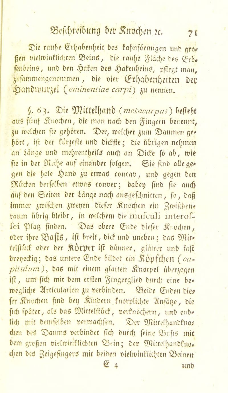 J'ie raiifie ^•rfiaf'enfieif ^cö faf^nformfgen imb avo> ^en inelrpinf[tcl)tcn 55einö, tie raufte ^*[üd)e t'fS ^rb# fciibfines, imt* ben Reifen t»e0 ^öfenbeinß, pppiu man, jiifammcngcnommon , bie t)ier Ben feiten tev ^DnnDanirjel {^tnninenliae carpi) 511 nennen. 63. 3^ie {metacarpnj') BefTebt öu^ fünf 5\ticd)en, bie man nad) ben Ringern benennf, >veld)cn fte (geboren. 3ber^ rreidjer ^um X>cuJmcn ge* fiorf, ijl ber furjejic unb bicfjfe; bie übrigen nebimen (in idnge unb mcf;renf()eifö aud) nn S)icfe fo ab, trie fie in ber Üuiiic auf einonber folgen. 0ie fuib alle ge* gen bie bole ^anb 311 etroaö concat», unb gegen ben S'vücfen berfefben efmaö conoejr; babei; ftnb fte aueb öuf ben 0eiten ber idnge nad) au6gefd)nitfcn , fo, ba^ immer ^mifdien ^mei^en biefer .Unedlen ein 3*^ü'd'en* raum übrig bleibt, in mefdiem bie nmfeuli inlerof- fei ^'(a(^ finben. 5)aä obere (Jube biefer ivjodien, ober ihre if^ breit, bief unb uneben; bnd Ü)iit* teifiiuf' ober ber ifi bünner, gidtrer unb fafi brei)ecfig; bad untere (Snbe hübet ein 5\6pfcl)cn (cß- piLuliim)^ bad mit einem giatten Knorpel überjegen if}, um fidi mit bem er|len gingerglieb burd) eine be* iregiid^e ^rtieuiation ju oerbinben. ^eibc (Jnben bie^ fer Unedlen finb bei; j^inbern fnorpfid)te ?{nfdlje, bic ftd) fpdter, old bad 9)^itte(üücf, oerfn6d;ern, unb enb* lief) mit bemfelben t)ertrad)fen. ®er 9?Iifrel()onbfno? d)en bed 'J)aumd oerbinbet fief; burd) feine '^oftd mit bem gvefen oiefminfliditen ^ein; ber 'tO^iftcibaubfno. d;en bed 3eigffingerd mit beiden oiefrüinfiid;fcn 53einen S 4 unb