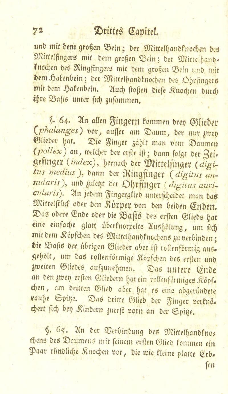 «nb mtf großen ^ein; ber SDZittelOanbfnocbin bc3 SKiffelfttigerß mit bem großen ^ein; bec 9j?itcel|)anb- fnod;cn beß SKingfi'ngciji mit bem groüeu Q5cin luib mit bem XDafcnbdn; ber 50?itte(banbfnocl)en beß Of;i-(inger0 mit bem .^afenbein. '2lud) fiopen biefe ^nod^en buveb j^re Q3afiö unter fid; 5ufommen* I 5. 64. 3Tn öKen Sintern fommen brei; ©lieber (^phalanges) tor, nufter nm ^aum, ber nur ^rrep ©lieber l;at* ©ie ginger ^al^lt num t*om hemmen (pollex) an, me(d;er ber eife ifr; bann fofgt ber gei- gefinger (index), i;ernad) ber 'I^itteljinger ( digi- tus inedius), bann ber Oiingftllger ( digitus an- imlaris), unb julcijt ber OI)Vjtn9Cr ( digitus auri- cidaris). /ebem gtngergfieb unteifd;eibet man bagt SDiirtelflücf ober ben Körper bon ben beiben ^nbem ^aß obere (£nbe ober bie beß erj^en ©liebß ^aC eine einfad;e glatt ubcrfnorpelte ^lirß^blung, um fic^ mit bem ^opfeben beß 9}?itfell)anbPnod;enß juoerbinben; fcie ^afiß ber übrigen ©lieber aber ifr roKenfbrrnig auß! gef)6(t, um boß rollenföimige 5topfcben beß erjten unb jmeiten ©licbeß aufjunef^meu. $^^aß untere ^llbe an ben^rrep erften ©Hebern l^atein roaenformigeß Köpf- chen , am britten ©lieb aber ^at eß eine abgerunbete rau^e 0pi/^e. ^aß briftc ©lieb ber ginger perfno- chert fid) bei; Kinbern Jucrjl corn an ber (BpWj, §. 65. 2(n ber OJerbinbung beß 2)Tiftelhanbfno^ cf;enß beß 59aumenß mit feinem erfien ©lieb femmen ein 5-^aor rünoliche Knod;en Por, bie ipie flcine platte ©rb. fen