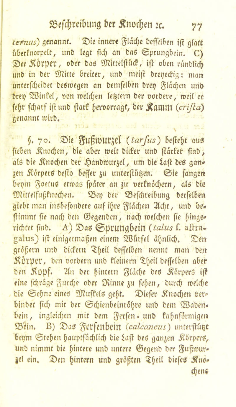 tcmus) ä^nannf, ^ie innere 5i«cl)c t)cffi’(6cn tfl giafC uberfnorpeit, unb (egf fic^ an taß ©prungbein* C) 3)er 5'5l’pa’, ober baö 5[Rttfdfiöcf, ifl oben runbltc^ iinb in ber ?Jii(te breiter, unb meifi brepecb'ig: man unterfebeibet beömegen an bemfelben brei; unb brei; SÖ3infe(, oon n?elcf;en le^tern ber oorbere, meÜ er ■ fe^r febarf ifiunb jiarb b^voorvagf, ber jSJamttl {crißä) genannt wirb, ‘1 1 \ §, 70. ^Die gu§tt)UtaCl {tarßis) Bef!ebt auö fteben itnoeben, bie aber weit biefer unb fldrfer ftnb, als bie ^noeben ber J^anbit)ur5et, um bie ia|l beß gan* jen Körpers befio beffer 5U unterjlbi^en. 0ie fangen bepiTt etwas fpdter an ju berfndebern, ais bie 5}?iffeIfu^fnod)en* S5ep ber ^Sefebreibung berfelben giebt man insbefonbere auf i^re §(dcben 3(cbf, unb be- flimmt fie nach ben ©egenben, nach meicben fie binge* richtet fmb» A) liDaö ^pfun^bein {talus f. aftra- galus} i|l einigermaßen einem ÖBürfei dbniieb, ÜDen großem unb bicFcrn ^^eif beffelben nennt man ben ^iioi’pcv, ben oorbern unb ficinern ^^eii beffelben aber ben 5^opf* ber ^intern gldcße bes j^brperS if! eine febrdge gurebe ober Dvinne ju feßen, bureb weiche bie ©ebne eines 3}?uffeis geßt, S)iefer ^nocf>en rer»“ binbet fteb mit ber ©cljienbeinrSbcc unb bem ®aben« bein, ingieicben mit bem » unb fabnfdrmigcn 25ein, B) S)aö ^Ctfrnbcin (calcaneus) unterfiu^t bepm ©teben bauptfdcbücb bie FafI bes gan5en dlörpcrs, unb nimmt bie hintere unb untere ©egenb ber ^ußwur- iel ein, iDen ^intern unb größten biefes ^nö* cben^