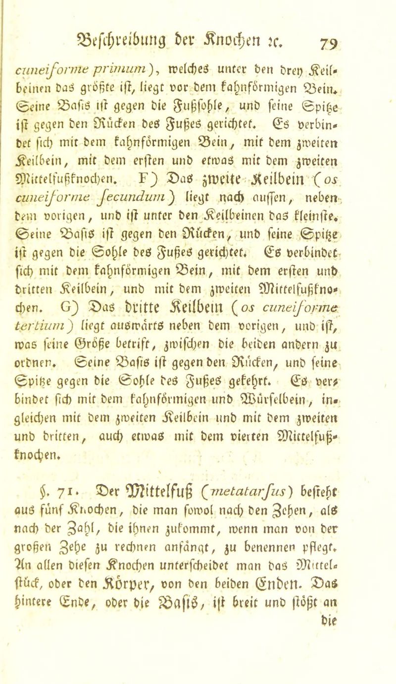 ^efif;i'ei'bung bev ^nod;en jc, j cuneifonne primum)^ jrefcfteö unfct ben brei; I BfiiKii basJ gröRfe ifl, liegt üor beni faf;nf6rmigen ^ein* • (Beine S3afiö ijl gegen bte “nb feine Bpi|e I i|^ dxüden be0 3u|5eö gericf}tet. öerbin- I bet fict} mit bem fn^nformigen S5cin , mit bem jmeireit I Keilbein, mit bem er|}en unb efmaö mit bem ^meiten I 5[)iute(fuffnod)eri. F} X>a& glDt’ite • j^eübeitl (oj cuneiforniti Jecundujn') liegt nad> ciuffen, neben- bem ooiigen, unb i)l unter ben .Keilbeinen ba0 flein|]e. 0einc ^afi0 i)? gegen ben Ovürfen^ unb feine ,©pi^e ift gegen bie Bo^le beö gerid)tef, ^6 PerbinbeC- fid) mit bem fn^nförmigen ^^ein, mit bem erjlen unb triften Keilbein, unb mit bem jmeiten ^Olittelfuffno- eben. G} bl'ittC Kdlbcill (^os cuneifonne tertiiim) liegt auemartß neben bem porigen, unb iff, was feine ©rö^e betriff, jmifd;en bie beiben nnbern ju. ofbnen. ©eine ^aftö ifi gegen ben 0vncfen^ unb feine ©piße gegen bie ©oble beö 3‘u^eö gefeiert. ©0 per; Binbet fid) mit bem falpnfönnigen unb ®urfelbein, in« gleid)en mit bem jmeiten Keilbein unb mit bem jtpeifen unb britten, aud; etipaö mit bem pierten 2)^ittelfu^- Bnot^en. \ ^,71. ®er ^ittelfu§ Qmetatarfus) befreit fluö fünf Knod)en, bie man fomol nod; ben jeben, al0 nnd) ber bie ihnen ^idommt, menn man oon ber großen ju rechnen anfangt, ju benennen pflegt» 2ln allen tiefen Knoeßen unterfebeibet man baö ’Ditttel« flücf, ober ben KÖrpeP/ pon ben beiben ^nbclt. 2)a0 hintere ©nbe, ober bie ^afl^z iji breit unb |16pt an bie