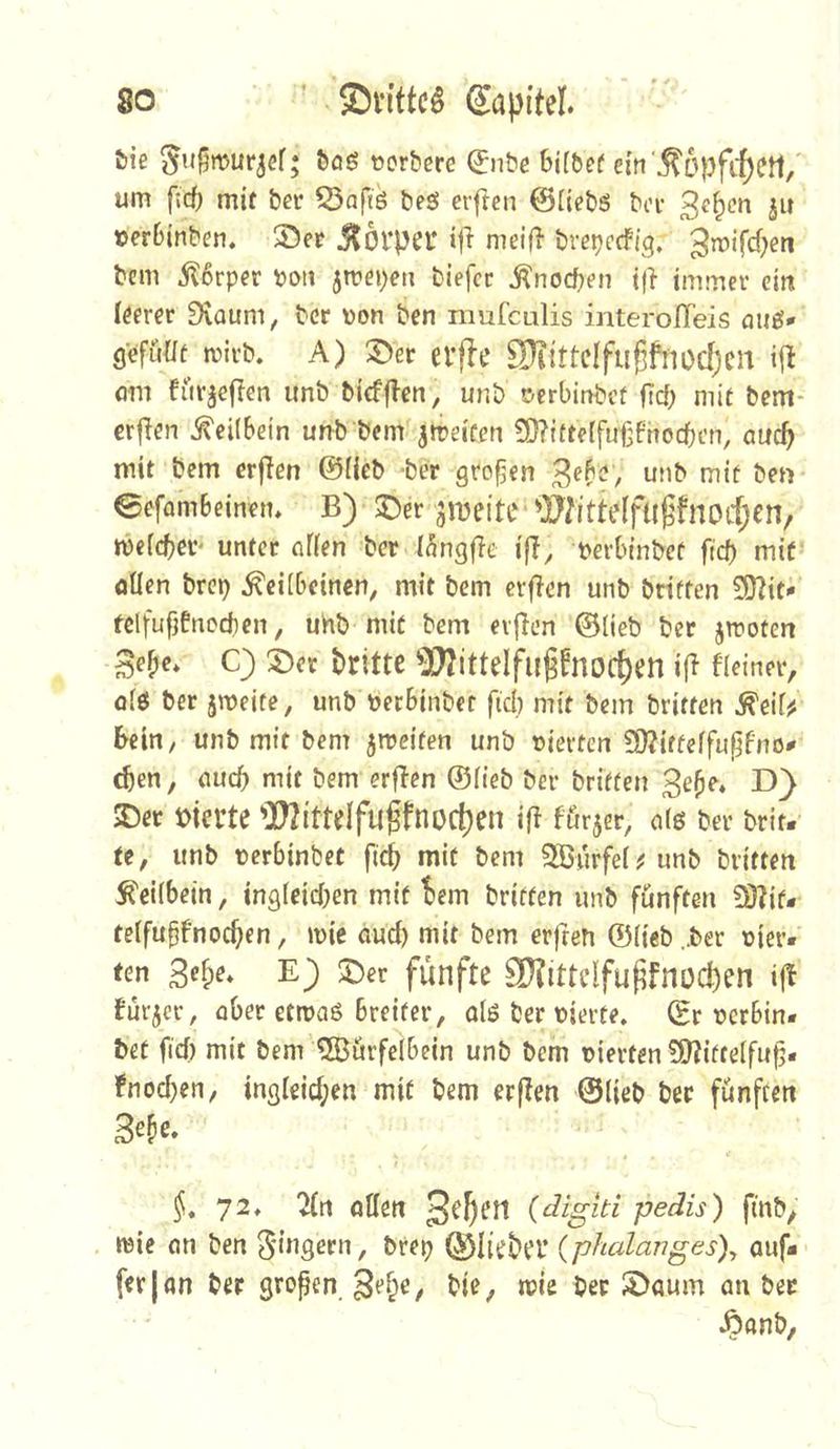 öie ftog t»orbere (Jn&e 6i[^e^ ei'fi'^Dpfcpert/ um fic() mit ber 53afiö beö elften 0[{ebs> bet 3e^en jii tierbinben, 35er jtorpei' iji nieifl breijecfig. gmifef^en bem 5l6rper bon 5tfei)en tiefer Änoeben i|l immer citt (öerer 9vaum, ber von ben nmfeulis interolTeis miö* (jefüdt mirb. A) ^er evfle SHittcIfllgfilodjCll ijl om furjeflen imb bicfflcn, unb c-erbintef ftef; mit bem- erfien Keilbein unb bem Streifen ^OTitteffufsfiiocben, auch mit bem erfien ©iieb ber großen unb mit ben 0efambeinem B) ©er ^meite 'ÄitteffllPnocpen, mefebev' unter nffen ber I^ngfic ifl, berbinbef ficb mit oüen brep Keilbeinen, mit bem erflen unb triften £0?iti telfufjtnccben, uhb mit bem evflen ©lieb ber jirofen 3ebe» C) ©er PrlttC ’37?ittelfugfn0C^en i|^ fleiner, o(6 ber jroeife, unb »erbinbet fiel) mit bem britten Keil^ Ibein/ unb mit bem jmeifen unb vierten £0?itfelfupfno# ^en, <iucb mit bem erflen ©lieb ber briffen 3^^^* ©er vierte '’r2l'ttdfu^fnoc{)en ifi fur5er, olö ber brit. it, unb verbinbet ficb mit bem QBurfeU unb britten Keilbein, tngleicben mit ^em triften unb fünften £0?if* telfu^fnocben, mie aud) mit bem erfren ©lieb ,.ber vier« ten 3ef)e* E) ©er fünfte SHitteifuffnocpen fürder, ober etroaß breiter, alö ber vierte, ©r verbin« bet fiel) mit bem ®ürfelbein unb bem vierten ?0?iftelfitb« fnod)en, ingleid)en mit bem erfien ©lieb ber fünften ^,72, Tin öden {digiti pedis) finb/ mie (in ben ^mgern, brep ©liebet’ {phalanges)y auf« ferjan ber gropen bie, mie bet ©aum an bet Äanb,
