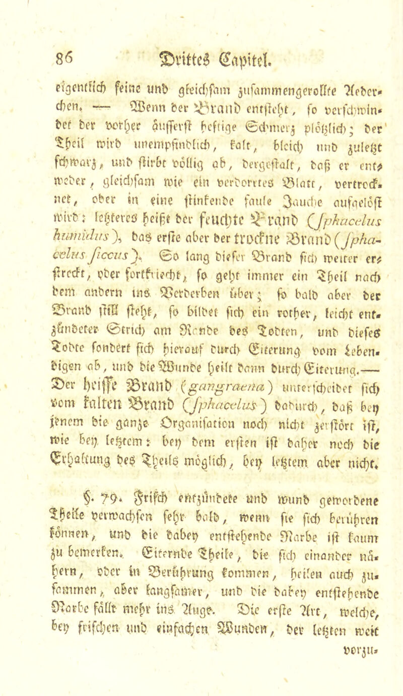 pfgenrfidf) feine unt) gieidjfnm ^ufammen^erodfe d)en. — Qßenn bei-enffMt, |o \)crfci;ipin» t*cf ber l'crf^ee auffevji f'cfiiqe ©d'mei'5 plcij(id); t'er' trüb unempnnMicii, Foft, blcid; iinb ^uiel^t fcptPav^, unb fiirbt tüdiq öb, bevj]c-|>alt, bo^' er ent? n^cber, qleid)fam tuie ein toerbonteö tertrcdP. net, ober in eine jHnfenbe fmile 3<^ndie nufoelofi PMvb: Ic^^fercö bei^t bei- feucbtc ^n’ant’ QJphacdus hmni(his\ baö erfte nber ber tl’DChie ’^Vnni){Jpha^ cdiisßccvs^. 00 lang biefer ^öronb fiel) rretrer er? f?rcrfr, ober fortfuerbt;. fo geht immer ein ^^fieü nad) bem anbern tnö ^erbevben über; fo halb aber bec 23ranb |M fleht, fo hübet fiel) ein rorber, leicht enf. ^önbeter 0trid) am 9vi-nbc beö ‘lobten, unb biefe^ ?;obtc fonbert fid) hieroaf burd> 0iterung Pom ieben. bigen a&, unb bie^nnbe f;ei(t bonn burd; (Sitemng.— ^er I)ci|Ye Sötanb igan^raetia) uiue:fcheibet ficf) ^'om hlltCU ^VflUb QJphacela!s ') böburd), ba^ bei; jenem bte gön^e .Crganifoticn nod) nicht ^eiflorr {fl, ipie hn), le^tcm: bei) bem elften ifl ba^er ned) bie (^ri^iaftung be$ ^^.eü6 möglich, hn; le^tem aber nichf* §. 79‘ $rifch eiifjilnbete unb munb gemotbene l:heifc permad}fen fefpr 60I&, menn fie ftd) beiuhren Tonnen, tmb bie bahep entflef;enbe 9iarbe ifl faiinT bemerten«, 0it?rnbo 'Iheile, bk fid) einonber na« hern, ober in S^crufimng Common, heilen auch ju- famrnen,, aber fangfnmer, unb bie bohep entflehcnbc Olorbc fallt mehr inö, 2(uge. erfle 7lrt, tPe(d)o, bei) frifchen unb einfache« ^utiben, bei- lebten mck por^iu