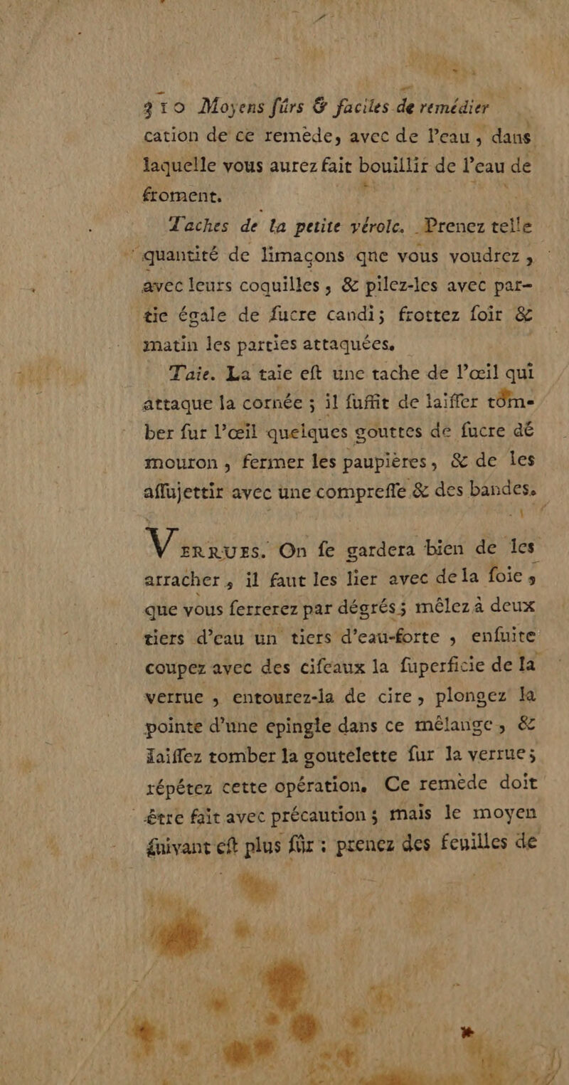 QUE CAS ER 91 o Moyens fûrs &amp; faciles de remédier cation de ce remède, avec de Peau , dans. laquelle vous aurez fait bouillir de l’eau de froment. ’ At Taches de la petite vérolc. Prenez telle ‘quantité de limaçons qne vous voudrez, avec leurs coquilles, &amp; pilez-les avec par- tic égale de fucre candi; frottez foir &amp; matin les parties attaquées, Taie. La taie eft une tache de l’œil qui attaque la cornée ; il fuffit de laïffer tÔme ber fur l’œil quelques gouttes de fucre dé mouron , fermer les paupières, &amp; de les 1 Vinioss On fe gardera bien de les arracher , il faut les lier avec dela foie » que vous ferrerez par dégrés; méêleza deux tiers d’eau un tiers d’eau-forte ; enfuite coupez avec des cifeaux la fuperficie de la verrue , entourez-la de cire, plongez pointe d’une epingle dans ce mélange, &amp; Jaiffez tomber la goutelette fur la verrue; répétez cette opération, Ce remëde doit