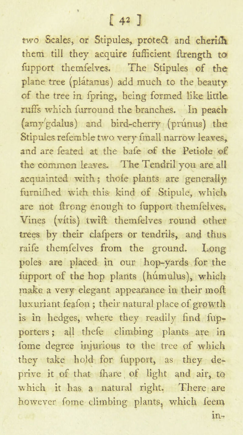 [4^ ] two Scales, or Stipules, protc(ft and cheriHi them till they acquire fufficient {Irength to fupport themfelvcs. The Stipules of the plane tree (platanus) add much to the beauty of the tree ra fpring, being formed like little, ruffs which furround the branches. In peach (amy^gdalus) and bird-cherry (prunus) the Stipules refemble two very finall narrow leaves, and are feated at the bafe of the Petiole of the common leaves. The Tendril you are all acquainted with; thole plants are generally furnidied with thi& kind of Stipule, which are not ftrong enough to fupport themfelves, Vines (vitis) twift themfelves round other trees by their clafpers or tendrils, and thus raife thernfelves from the ground. Long poles are placed in our hop-yards for the fupport of the hop plants (humulus), which make a very elegant appearance in their moft luxuriant feafon ; their natural place of growth is in hedges, where they readily find fup- porters; all thefe climbing plants are in foine degree injurious to the tree of which they take hold for fupport, as they de- prive it of that ffiare, of light a^d air, to which it has a natural right. There are however fome climbing plants, which feem in-