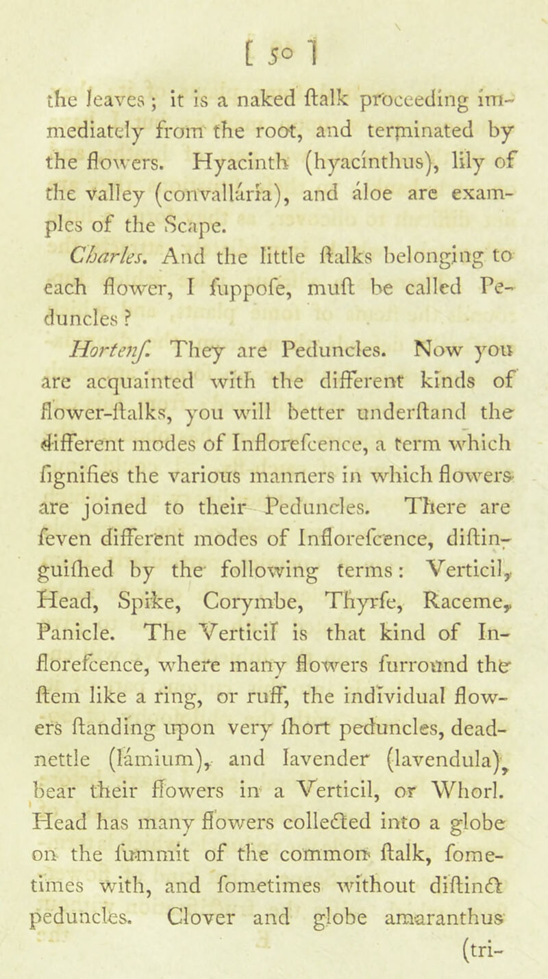 the leaves; it is a naked ftalk proceeding im- mediately from the root, and terpiinated by the flowers. Hyacinth (hyacinthiis), lily of the valley (convallaria), and aloe are exam- ples of the Scape. Charles. And the little ftalks belonging to each flow'd*, I fiippofe, muft be called Pe- duncles ? Hortenf. They are Peduncles. Now you are acquainted with the different kinds of flower-rtalks, you will better underhand the different modes of Inflorefcence, a term which fignifies the various manners in which flow’^ers- are joined to their Peduncles. There are feven different modes of Inflorefcence, diftin- guifhed by the' following terms: Verticil,, Head, Spike, Corymbe, Thyrfe, Raceme, Panicle. The Verticil is that kind of In- florefcence, wTefe many flowers furround the* ftem like a ring, or ruff, the individual flow- ers handing upon very fhort peduncles, dead- nettle (lamium), and lavender (lavendula)^ bear their flow'-ers in- a Verticil, or Whorl. Head has many flowers colleihed into a globe on the fumrait of the commorb halk, fome- times with, and fometimes -without dihinfl peduncles. Clover and globe amaranthus' (tri-