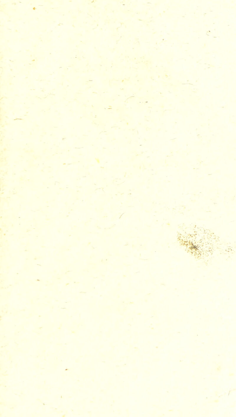 / ■ ,» '/'»Vv '.''•>•■>' /