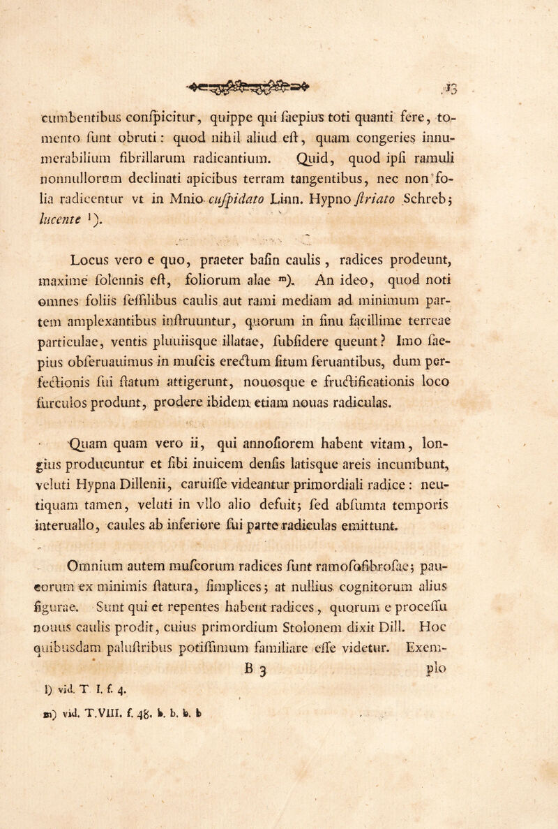 cumbentibus conlpicitiir, quippe qui liiepius toti quanti fere, to- mento fiint obruti ; quod nihil aliud eft, quam congeries innu- merabilium fibrillarum radicantium. Quid, quod ipli ramuli nonnullorom declinati apicibus terram tangentibus, nec non;fo- lia radicentur vt in Vimo ciifp dato Linn. flr i at o Schreb3 lucente ^). Locus vero e quo, praeter bafin caulis , radices prodeunt, maxime folennis eft, foliorum alae An ideo, quod noti omnes foliis feffilibus caulis aut rami mediam ad minimum par- tem amplexantibus indruuntur, quorum in finu facillime terreae particulae, ventis pluuiisque illatae, fubfidere queunt? Imo fae- pius obferuauimus in mufcis eredum litum feruantibus, dum per- feclionis fui flatum attigerunt, nouosque e frudificationis loco furculos produnt, prodere ibidem etiam nouas radiculas. Qiiam quam vero ii, qui annofiorem habent vitam, lon- gius producuntur et libi inuicem denfis latisque areis incumbunt, vel uti Hypna Dillenii, caruiffe videantur primordiali radice : neu- tiquam tamen, velati in vllo alio defuit3 fed abfumta temporis interuallo, caules ab inferiore fui parte Tadkulas emittunt. Omnium autem mufcorum radices funt ramofofihrofae; pau- corum ex minimis flatura, flmplices 3 at nullius cognitorum alius figurae. Sunt qui et repentes habent radices , quorum e proceffu nouiis caulis prodit, cuius primordium Stolonem dixit DilL Hoc quibusdam paluhribus potiffimum familiare effe videtur. Exem- A B 3 , pio l) vid. T L f. >