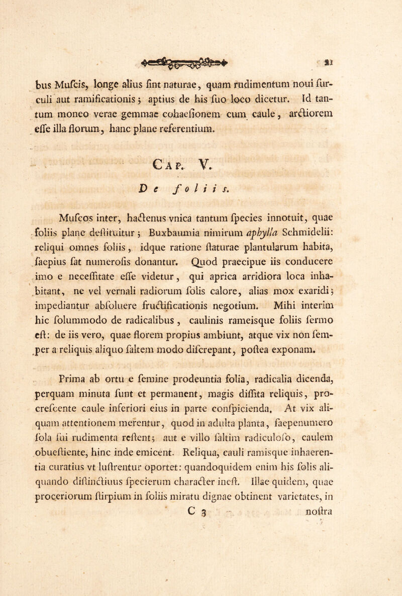 bus Mufcis^ longe alius fint naturae, quam rudimentum noui fur- culi aut ramificationis ^ aptius de his fuo loco dicetur. Id tan- tum moneo verae gemmae cohaeiionem cum caule, ardiorem effe illa florum 3 hanc plane referentium. A P.. V. De foliis. Mufcqs inter, hadenus vnica tantum fpecies innotuit, quae -foliis plane deflituitur y Buxbaumia nimirum aphylla Schmidelii: reliqui omnes foliis, idque ratione flaturae plantularum habita, faepius fat numerolis donantur. Quod praecipue iis conducere imo e neceflitate effe videtur, qui aprica arridiora loca inha- I bitant, ne vel vernali radiorum folis calore, alias mox exaridi; impediantur abfoluere frudificationis negotium. Mihi interim hic folummodo de radicalibus , caulinis rameisque foliis fermo cfl: de iis vero, quae florem propius ambiunt, atque vix non fem- per a reliquis aliquo faltem modo diferepant, poflea exponam. Prima ab ortu e femine prodeuntia folia, radicalia dicenda, perquam minuta funt et permanent, magis diffita reliquis, pro- crefeente caule inferiori eius in parte coiifpicienda. At vix ali- quam attentionem merentur, quod in adulta planta, faepeiiumero fola fui rudimenta reflent; aut e villo ialtim radiculofo, caulem obuefliente, hinc inde emicent. Reliqua, cauli ramisque inhaeren- tia curatius vt luflrentur oportet: quandoquidem enim his folis ali- quando diflindiuus fpecierum charader inefl. Illae quidem, quae proceriorum flirpium in foliis miratu dignae obtinent varietates, in