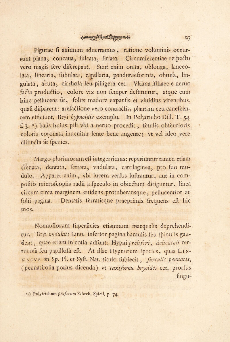 FiguriTe fi animum adaertamus, ratione voluminis occur- runt plana, concaua, falcata, ftriata. Circumferentiae refpedu vero magis^ fere difcrepant. Sunt enim orata, oblonga, lanceo- lata, linearia, fubulata, capillaria, panduraeformia, obtufa, lin« gulata , acuta j cirriiofa feu pilligera cet. Vltima iftbaec e neruo iad:a produdio, colore vix non femper deffituitur, atque cum hinc peilucens fit, foliis madore expanfis et viuidius virentibus. Quafi difparcnt: arefacdione vexo contradis, plantam ceu cianefcen- tem efficiant, Bryi hyfnoidis exemplo. In Poly.tricho DilL T, 54 £3, bafis huius pili vbi a neruO'procedit, fetulis obfcurioris coloris coronaUi iiiucnitur lente bene augente, vt vei ideo vere diflinda fit fpecies. Margo plurimorum eft integerrimus: reperiuntur tamen etiam erenata, dentata, ferrata, vndulata, cartilaginea, pro fuo mo- dulo. Apparet enim, vbi lucem verfus liidrantur, aut in com- pofitis microfcopiis radii a fpeculo in obieduni diriguntur, linea circum circa marginem euidens protuberansque, pellucentior ac folii pagina. Dentatis ferratisque praepriniis frequens eft hic mos. % NannuUorum fuperficies etiamnum inaequalis deprehendi- tur. Bryi vndulati Lino, inferior pagina hamulis feu fpinulis gau- dent, quae etiam in'cofta adfunt: Hypnipr^j/i/cr/, delicatuli rer- rucofa feu papillofa eft. At illae Hypnorum fpeeies, quas Lin- N A E V s in Sp. Pl. et Syft. Nat. titulo fubiecit, furculis -pennatis^ (pennatifolia potius dicenda) vt taxiforme bryoides cet* prorfus fingii- vi) Polytrichiim piaferttju Schreb. Spicii, p. 74*