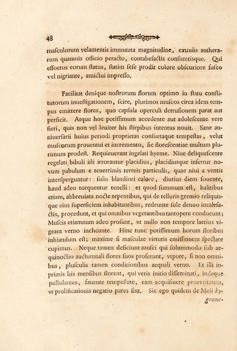 mafculorum velamentis immutata magnitudine/ exuuiis anthera- rum quamuis officio peracfto, contabefadis confunitisque. Qui efFoetus eorum ftatus, ftatim fefe prodit colore obfcuriore fufeo velnigriante, amidui impreffo* Facilitat denique noftrorum florum optimo in flatu confli- tutorum inuefligationem, fcire, plurimos mufeos circa idem tem- pus emittere flores, quo capfula operculi detrufionem parat aut perficit. Atque hoc pbtiffimum accedente aut adolefcente vere fieri, quis non vel leuiter his ftirpibus-intentus nouit. Sane an- niuerfarii huius periodi proprietas confuetaque tempeftas , velut mufeorum prouentui et incremento, fic florefeentiae multum plu- rimum prodeft. Requieuerant ingelati hyeme. Niue deliquefeente regelati bibuli ifli irrorantur placidius, placidiusque infertur no- vum pabul|um-e tenerrimis terreis particulis, quae niui a ventis interfperguntur: ^ ibiis blandiori calore , diutius diem fouente, haud adeo torquentur tenelli: et quod fummum eft., halitibus etiam, abbreuiata Jiode.tepentibus, qui de telluris gremio reliquis- ‘que eius fuperficiem inhabitantibus , redeunte fole denuo incafefa- dis, procedunt, et qui omnibus vegetantibus tantopere conducunt; Mufeis etiamnum adeo profunt, vt nullo non tempore laetius vi- geant verno inchoante. Hinc tunc potiffimum horum floribus 'inhiandum eft; maxime fi mafculae virtutis emiffionem fpedare 'cupimus. Neque tamen deficiunt mufei qui folummodo fub ae- quinodio audumnali flores fuos proferunt; vtpote, fi non omni- bus , plufculis tamen conditionibus aequali verno. Et illi in- primis his nienfibiis florent, quiveris initio dilTeminati, indeque antes, fauente tempeflate, eam acquifiuerc proceritatem, vt prolificationis negatio pates fiat. Sic ego quidem deMnii hy- grome-