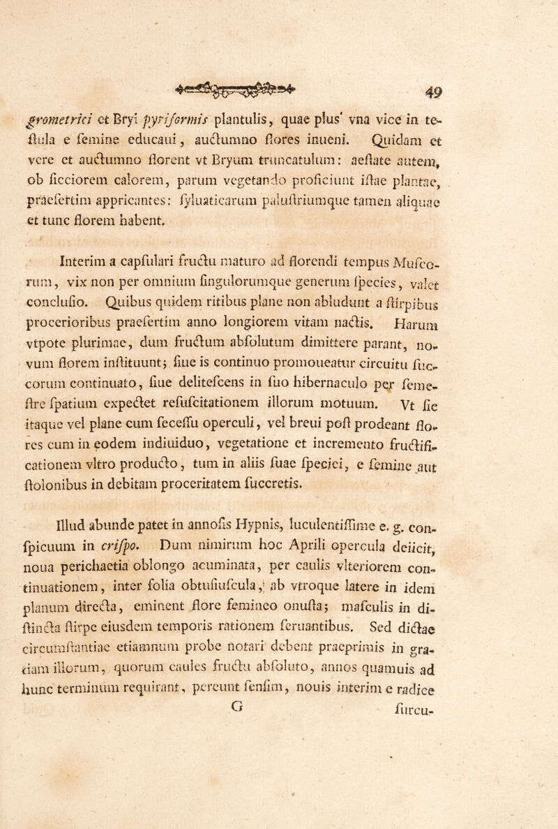 % Prometrici etBryi pyriformis ^XantwMs, quae plus' vna vice in te- Aula e femine educaiii, auchimno fiores inucni. Qiiidam et vere et aufiumno florent vt Bryum truncatulum: aefiate autem, ob llcciorem calorem, parum vegetando proficiiint iflae plantae, praefertim appricantes; fyluaticarum paluflriumque tamen aliquae et tunc florem habent, Interim a capfulari fruclu maturo aci florendi tempus Mufeo- nim, vix non per omnium fingulorumque generum fpecies, valet conclufio. Quibus quidem ritibus plane non abludunt a flirpibus procerioribus praefertim anno longiorem vitam nadis. Harum vtpote plurimae, dum frinflum abfdlutum dimittere parant, no- • vum florem inflituunt; fme is continuo promoneatur circuitu fuc- eorum continuato, fiue delitefcens in fuo hibernaculo per femc- flrc fpatium expedet refufeitationem illorum motuum, Vt fic itaque vel plane cum feceffu operculi, vel breui pofl prodeant flo- res cum in eodem indiuiduo, vegetatione et incremento frudifi- cationem vitro produdo, tum in aliis fuae fpecjei, e femine aut ftolonibus in debitam proceritatem fuccretis. Illud abunde patet in annofis Hypnis, lucuientiffime e. g. con- fpicuum in cni/po. Dum nimirum hoc Aprili opercula deiicit, noua pericliaetia oblongo acuminata, per caulis viteriorem con- -tinuationem, inter folia obtufiufcula,; ab vtroque latere in idem planum diretT:a, eminent flore femineo onufla; mafeuiis in di- ftinda flirpe eiusdem temporis rationem fcruantibiis. Sed didae circumftantiae etiamnum probe notari debent pracprirais in gra- ciam illorum, quorum caules frudu abfoluto, annos quamuis ad hunc terminum requirant, pereunt fenfim, nouis interim e radice ^ ' • furcu-