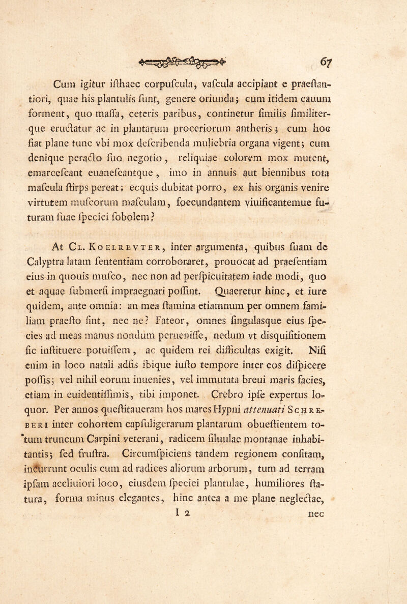 Cum igitur iilhaec corpufcula, vafcula accipiant e praeftan- tiori, quae his plantiilis flint, genere oriunda; cum itidem cauum forment, quo maffa, ceteris paribus, continetur fimiiis fimiliter- que erudatur ac in plantarum proceriorum antheris 5 cum hoc fiat plane tunc vbi mox deferibenda muliebria organa vigent; cum denique perado fuo negotio, reliquiae colorem mox mutent, emarcefeant euanefcantque , imo jn annuis aut biennibus tota mafcula ftirps pereat; ecquis dubitat porro, ex his organis venire virtutem mufeorum mafculam, foecundantein yiuificantemue ful- turam fuae fpecici fobolcm ? At Cl. Koelrevter, inter argumenta, quibus fuam de Calyptra latam feutentiam corroboraret, prouocatad praefentiam eius in quouis niufco, nec non ad perfpicuitatem inde modi, quo et aquae fubmerli impraegnari poffint, Quaeretur hinc, et iurc quidem, ante omniv^: an mea flamina etiamnum per oninem fami- liam praefto fint, nec ue? Fateor, omnes fingulasque eius fpe^- cies ad meas manus nondum perueniiTe, aedum vt disquilitionem fic inftituere potuifTem , ac quidem rei difficultas exigit, Nifi enim in loco natali adfis ibique iuflo tempore inter eos difpicere poffis; vel nihil eorum inuenies, vel immutata breui maris facies, etiam in cuidentiffimis, tibi imponet , Crebro ipfe expertus lo^ quor. Per annos qiieftitaueram hos mares Hypni attenuati S c a R r- BERi inter cohortem capfuligerarum plantarum obueftientem to- rtum truncum Carpini veterani, radicem filuulae montanae inhabi- tantis; fed frufira» Circumfpiciens tandem regionem confitam, inc^urrunt oculis cum ad radices aliorum arborum, tum ad terram ipfam acciiuiori loco, eiusdem fpcciei plantulae, humiliores fla- tura, forma minus elegantes, hinc antea a me plane negledae, I 2 nec