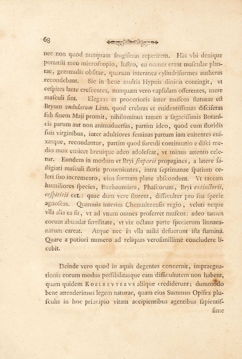 nec. non quod nunquam frugiferas rcperireiiu Flas vbi denique portatiii meo aiicrolcopioj lufiro, eii omnes erant iiiaiculac plan- tae, gemmulis obfitae, quarum interanea cylindriformcs antheras recondebant. Sic in bene multis Hypiiis clioicis contingit, vt celpites laete crefecntes, nunquam vero capfulam offerentes, mere mafculi fint. Elegans et procerioris inter mufeos flaturae efl Bryuni mdiilatiim Linn. quod crebras et euidentiflimas difeiferas fub finem Maji promit, nihilominus tamen a fagacifilmis Botani- cis parum aut non animaduerfas,'partim ideo, quod cum floridis fuis virginibus, inter adultiores feminas partum iam enitentes eni- xasqiie, recondantur, partim quod furculi continuatio e difei me- dio mox emicet breiiiqiie adeo adolefcat, vt minus attento cele- tur. Eundem in modum et Bryi feoparii propagines, a latere fii- fligiati mafculi floris prouenientes, intra feptimanae fpatium ce- leri fuo incremento, eius formam plane abfeondunt. Vt taceam humiliores Ipecies, Buxbaiimiam, Phafeorum, Bryi cxr/;2c%nV, cefpirtnt cet.: quae dum vere florent, difficulter pro fua fpecie agnofeas. 'Qiiamuis interim Chemnitzenfis regio , veluti neque vlla alia ea fit, vt ad viium omnes proferret mufeos: adeo tamen eorum abundat fertilitate, vt vix oftaua parte fpecieriim linnaea- narum careat. Atque nec in vlla mihi defuerunt ifla flamina*» Qiiare a potiori numero ad reliquas verolimilliine concludere li- cebit. Deinde vero quod in aquis degentes concernit, impraegna- tioiiis eorum modus polTibilitasque eam difficultatem non habent, quam quidem Koeliievtervs aliique crediderunt5 dummodo bene attenderimus legem naturae, quam eius Summus Opifex plu- fculis in hoc principio vitam accipientibus agentibus fapientif- fime