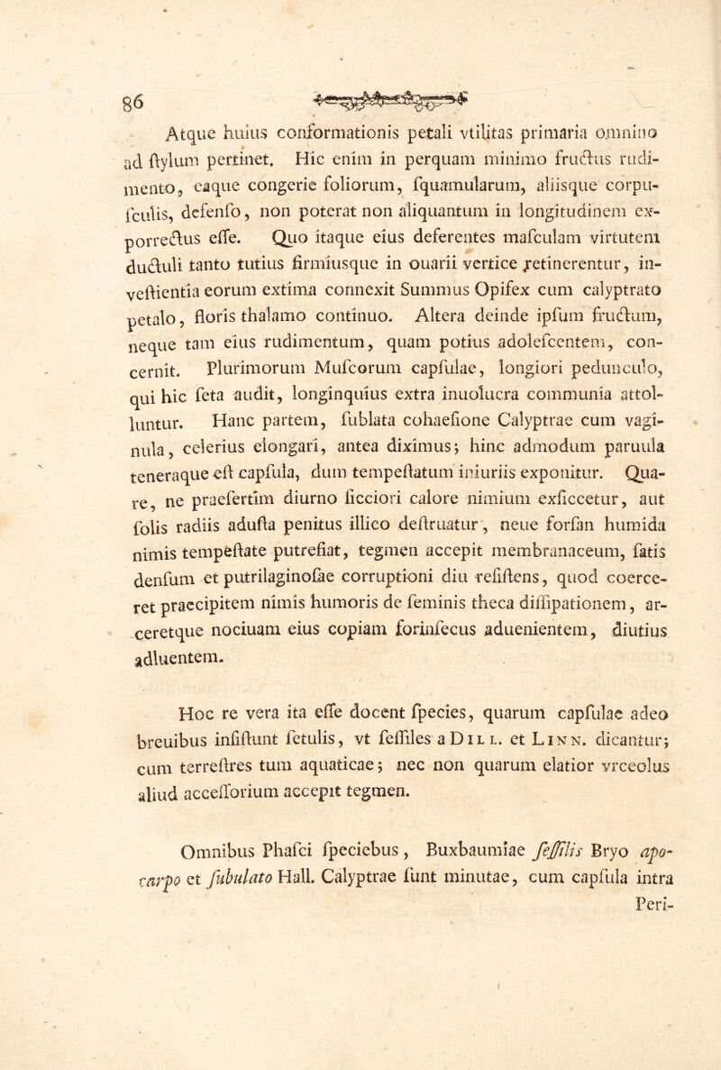 Atque huius conformationis petali vtilitas primaria omnino ad ftylum pertinet. Hic enim in perquam minimo fruftiis rudi- mento 5 eaque congerie foliorum, fquamularum, aliisque corpu- (culis^ dcfenfo, non poterat non aliquantum in iongitudinem e.Y- porredfus effe. Quo itaque eius deferentes mafculam virtutem duftuli tanto tutius firmiusque in ouarii vertice ;*etinerentur , in- veftientia eorum extima coniiexit Summus Opifex cum calyptrato petalo, floris thalamo continuo. Altera deinde ipfum 6‘uftum, neque tam eius rudimentum, quam potius adolefcentem, con- cernit. Plurimorum Mufeorum capfulae, longiori pedunculo, qui hic feta audit, longinquius extra inuolucra communia attol- luntur. Hanc partem, fublata cohaefione Calyptrae cum vagi- nula, celerius elongari, antea diximus; hinc admodum paruula teneraque eft capfula, dum tempeftatum iniuriis exponitur. Qua- re ne praefertim diurno ficciori calore nimium exficcetur, aut folis radiis adufta penitus illico deflruatur, neue forfan humida nimis tempeftate putrefiat, tegmen accepit membranaceum, fatis denfum et putrilaginolae corruptioni diu refiftens, quod coerce- ret praecipitem nimis humoris de feminis theca dilTipationem, ar- xeretque nociuam eius copiam foriafecus aduenientem, diutius adluentem. Hoc re vera ita elTe docent fpecies, quarum capfulae adeo breuibus infiftunt fetulis, vt feflfiles aDii l. et Linn. dicantur; cum terreflres tum aquaticae; nec non quarum elatior vrceolus aliud acceiTorium accepit tegmen. Omnibus Phafei fpeciebus , Buxbaumiae feclis Bryo afo- uvfo ct fubulato Hali. Calyptrae funt minutae, cum capfula intra Peri-