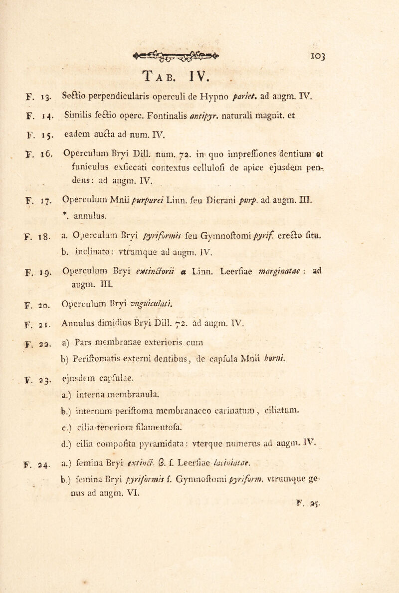 F. M- F. 15. F. 16. F. 17. F. 18. F. 19. F. 20. F. 21. F. 22. F. 23.. F. 24- 103 Tab. IV. . Similis fe£Ho opere. Fontinalis antipyr* naturali magnit. et eadem aufta ad num. IV. Operculum Biyi Dill. num. 72. in quo imprefflones dentium Qt funiculus exflccati contextus celluloH de apice ejusdejm pen- dens: ad augm. IV. Operculum Mnii purpurei Linn. feu Dierani pitrp, ad augm. III. annulus. a. Operculum Bryi pyriformis {qu GymnoBomiere£lo Btu. b. inclinato: vtrumque ad augm. IV. Operculum Bryi e^tin&orii a Linn. Leerfiae marginatae : ad augm. III. Operculum Bryi vnguicuJati, Annulus dimidius Bryi Dill. 72. ad augm. IV, a) Pars membranae exterioris cum b) PeriBomatis externi dentibus, de capfula Mnii hmti. ejusdem capfulae. ' a. ) interna membranula. b. ) internum perifloma membranaceo carinatum , ciliatum. c. ) cilia-tencriora filamentofa. / d. ) cilia compolita pyramidata: vterque numerus ad augm. IV. a. ) femma Bryi e^tinPl. G. f. Leerfiae laLtniatae. b. ) femina Bryi pyriformis L Gymnoftomi pyriform, vtriiiuque ge- nus ad augm. VI.